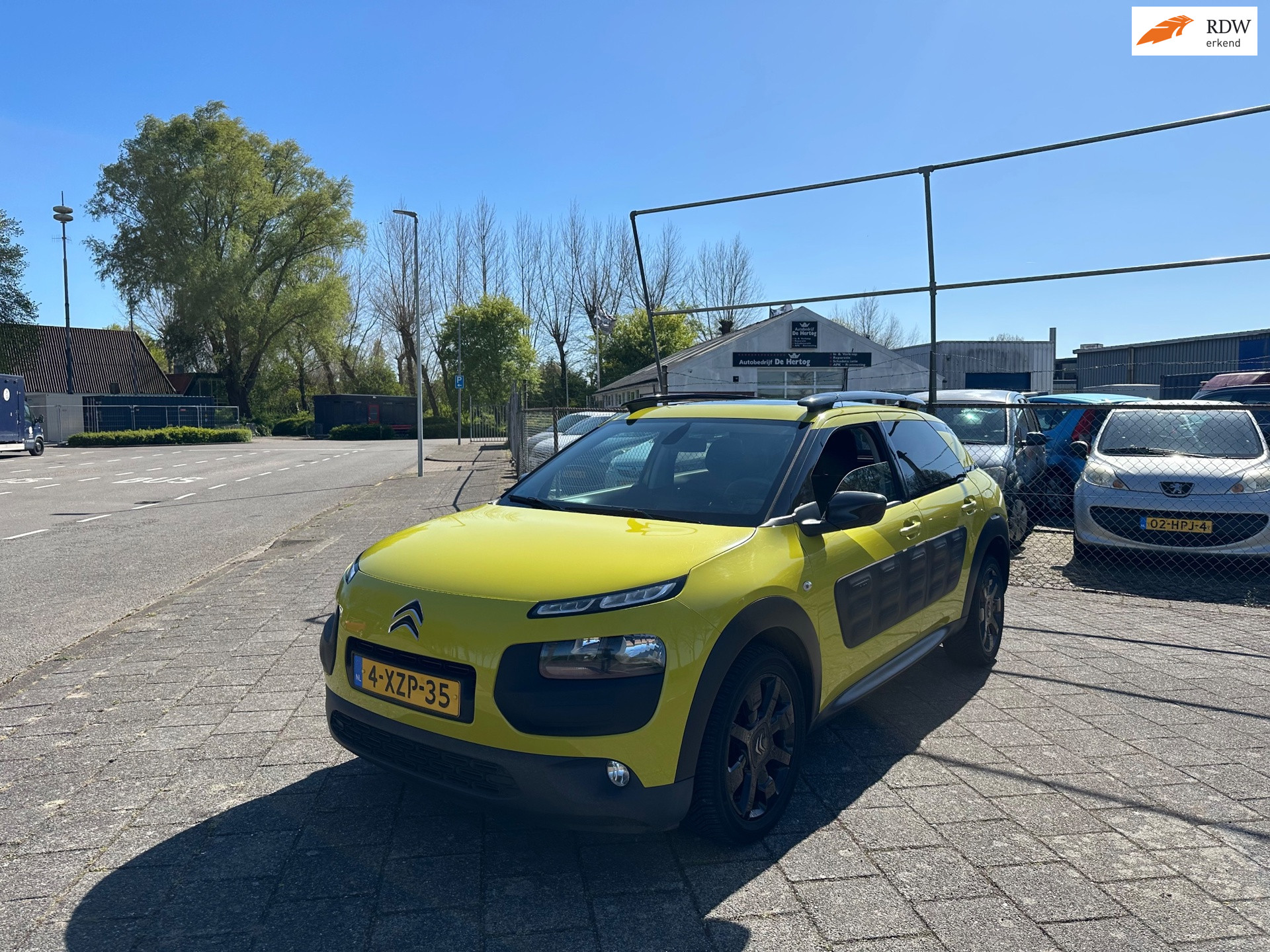 Foto van CITROEN C4 CACTUS
