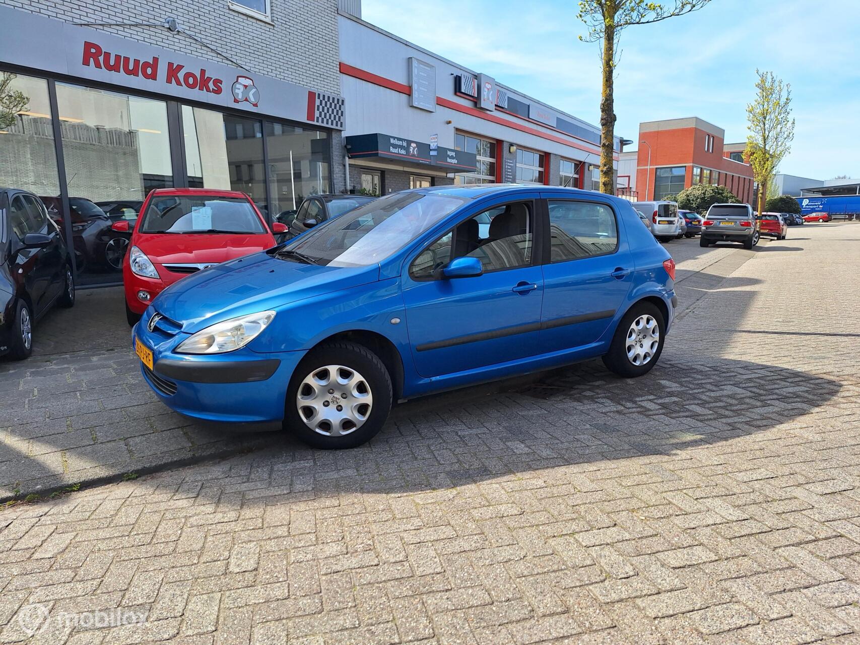 Foto van PEUGEOT 307