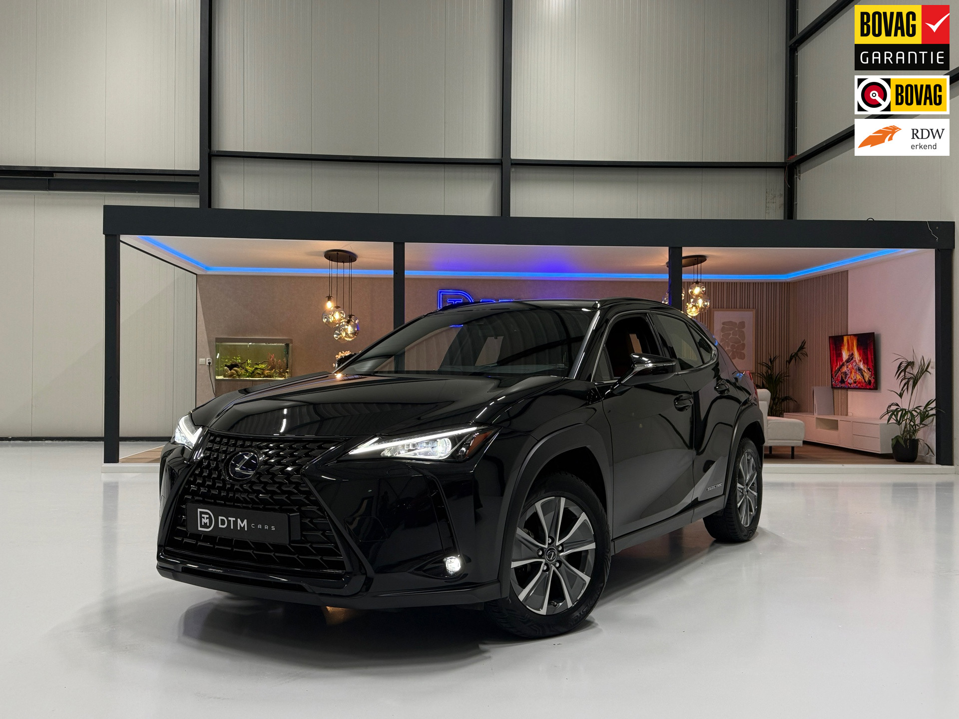 Foto van LEXUS LEXUS UX300E