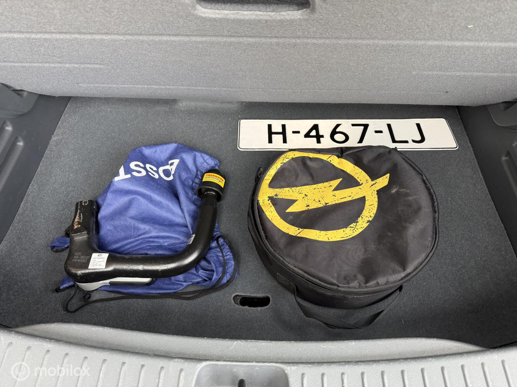 Foto van Opel Ampera-e