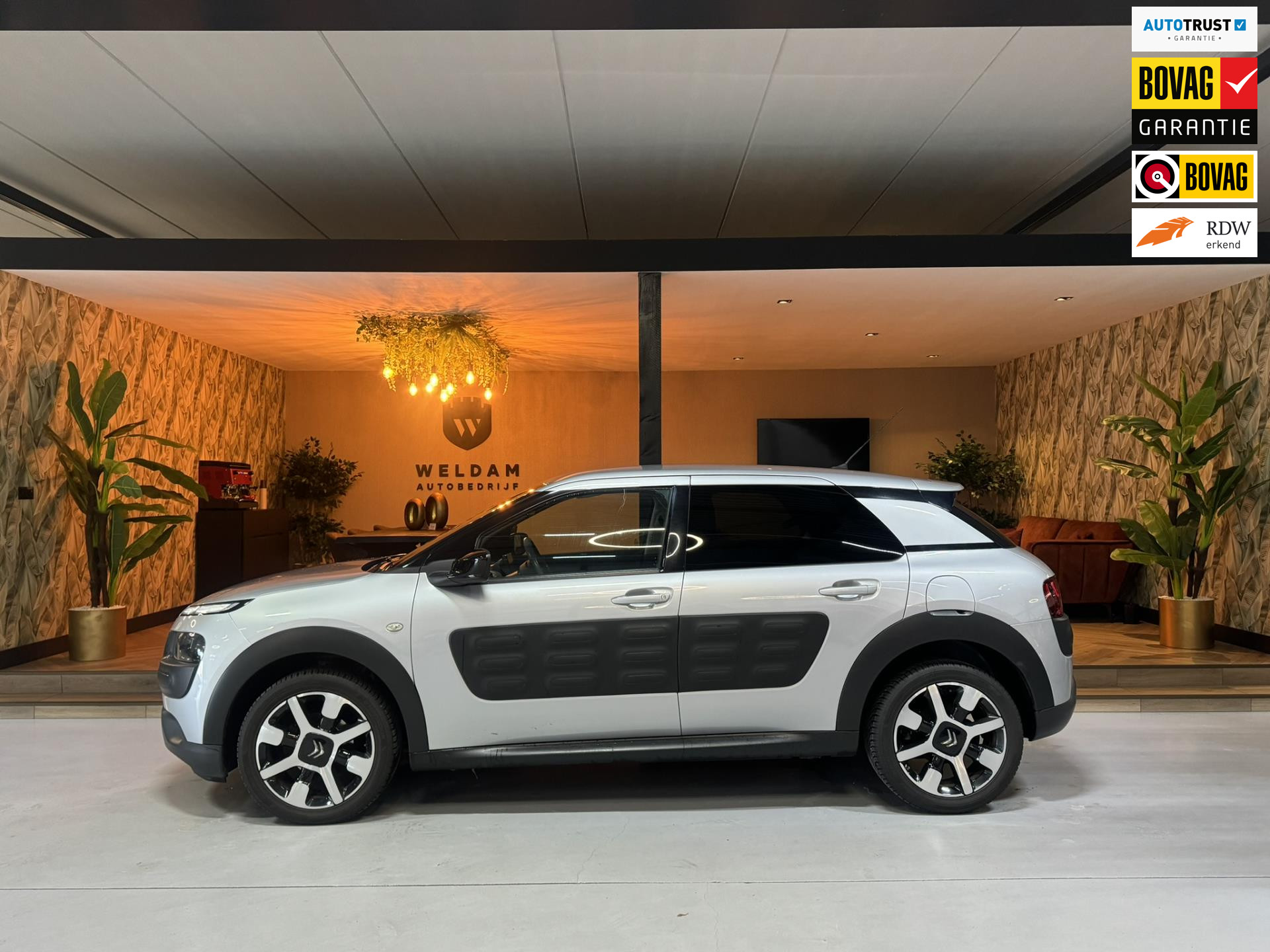 Foto van CITROEN C4 CACTUS
