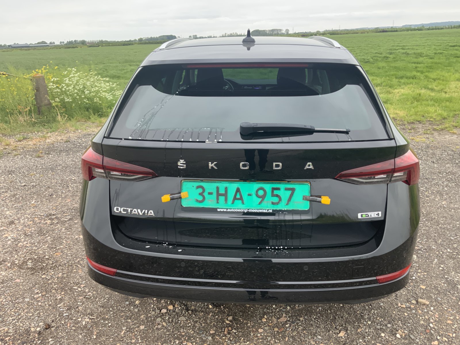 Inspectiefoto van Skoda Octavia