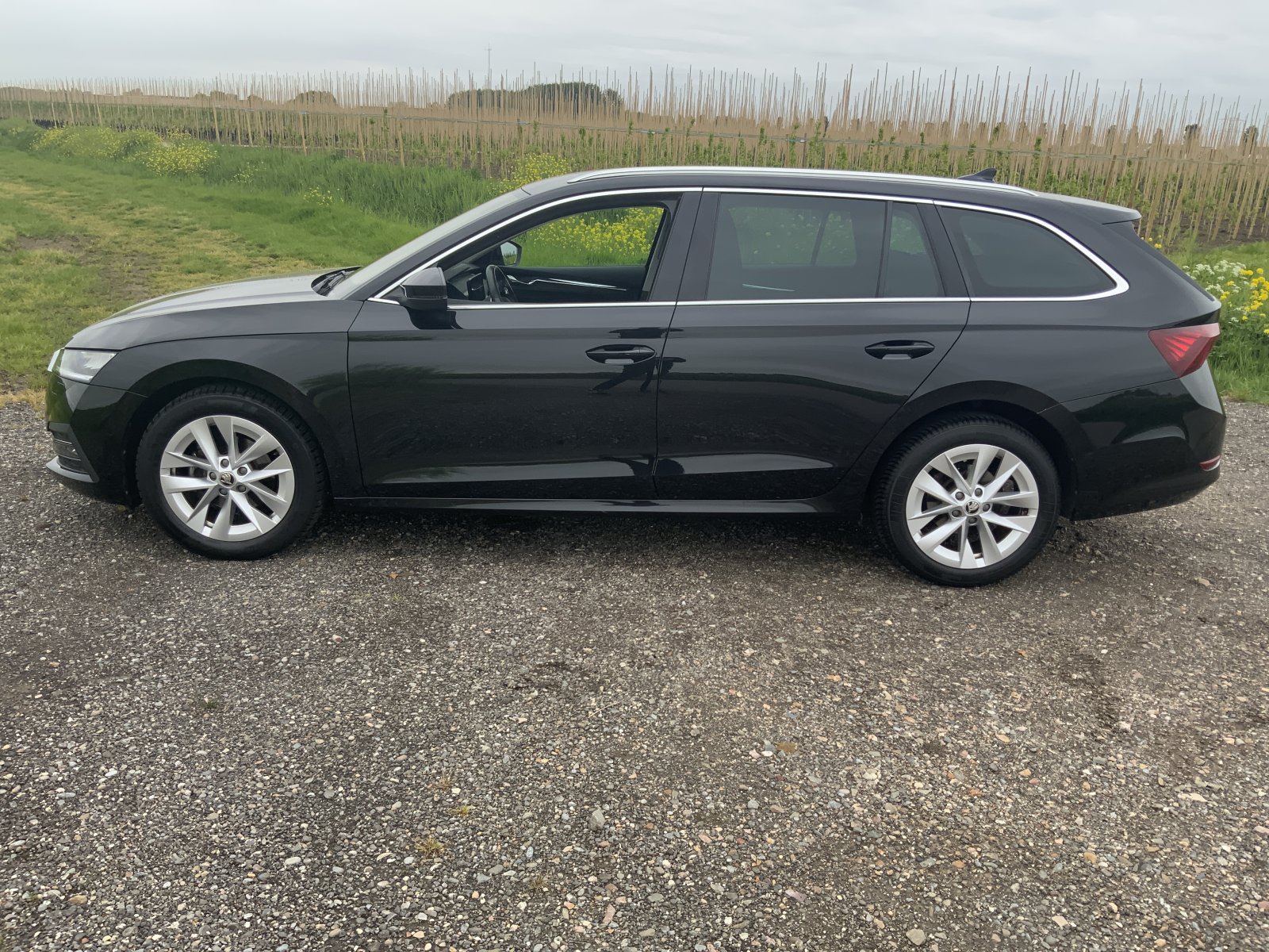 Inspectiefoto van Skoda Octavia