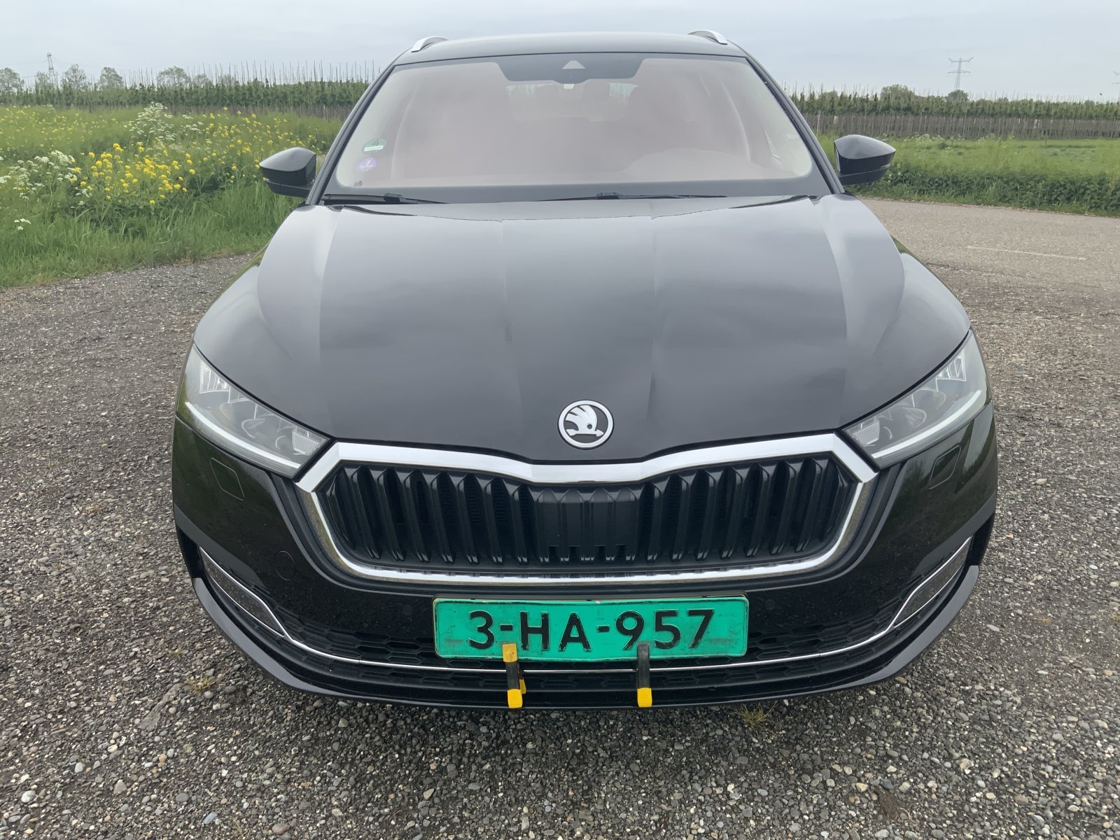 Inspectiefoto van Skoda Octavia