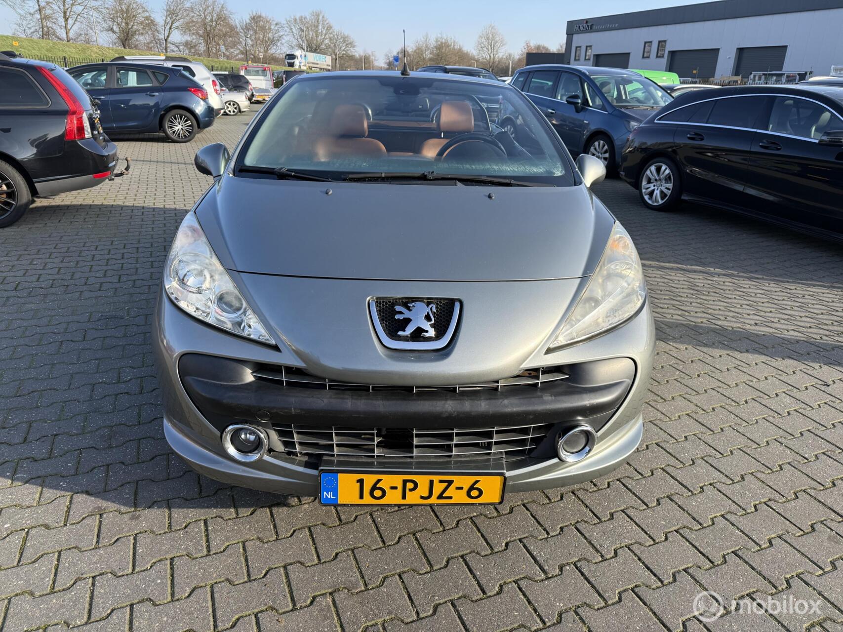 Foto van PEUGEOT 207