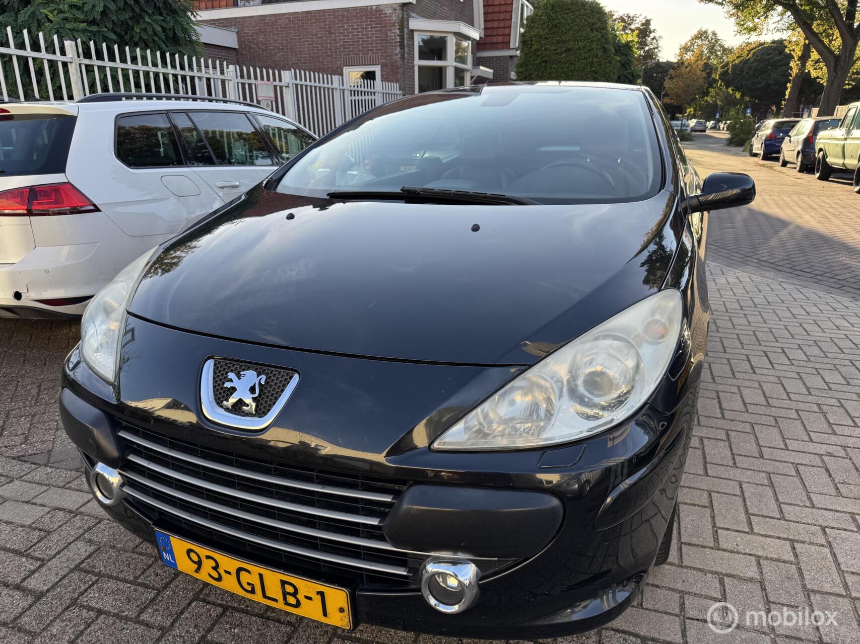 Foto van PEUGEOT 307