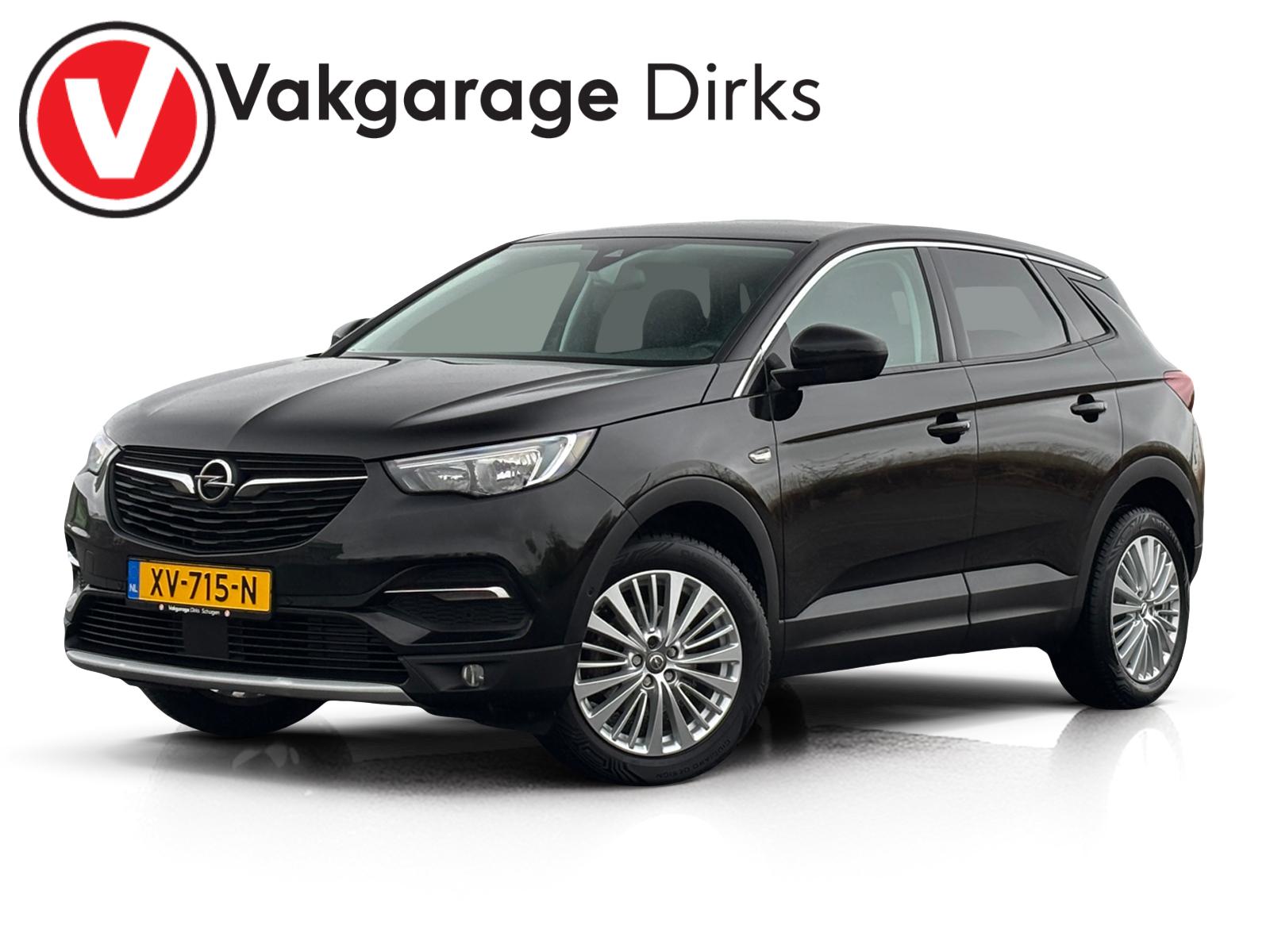 Foto van OPEL GRANDLAND X