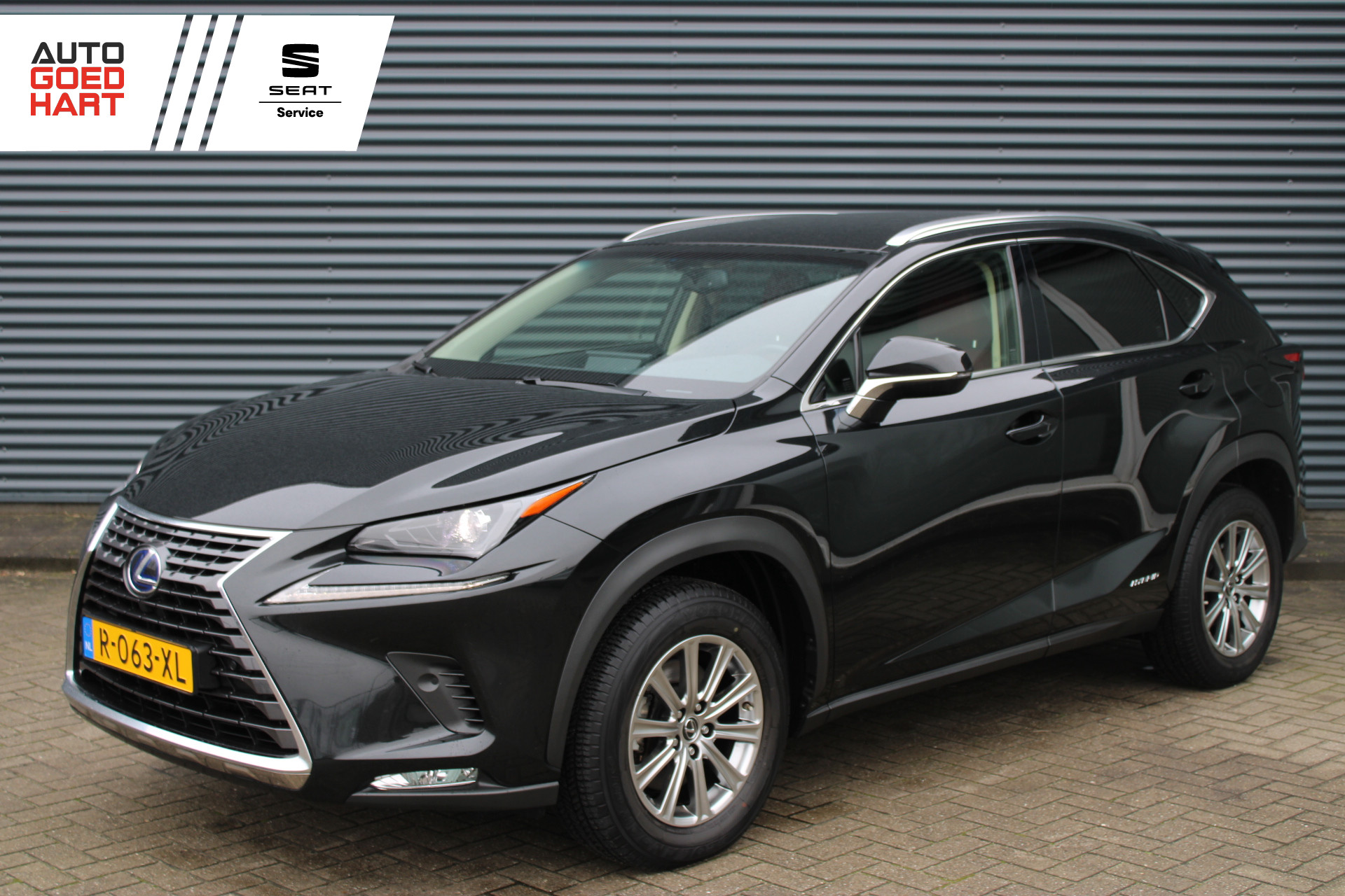 Foto van LEXUS LEXUS NX300H
