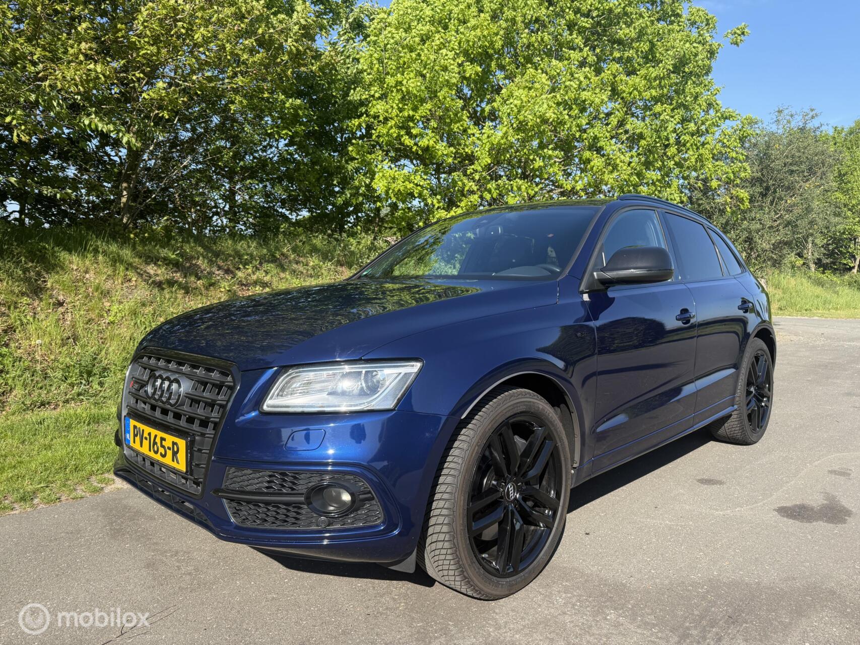 Audi Sq5 Tdi 3.0 TDI SQ5 quattro Pro Line 2014 - voorkant