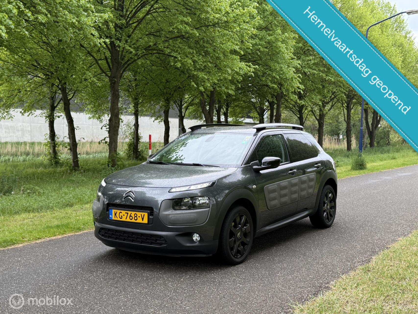 Foto van CITROEN C4 CACTUS