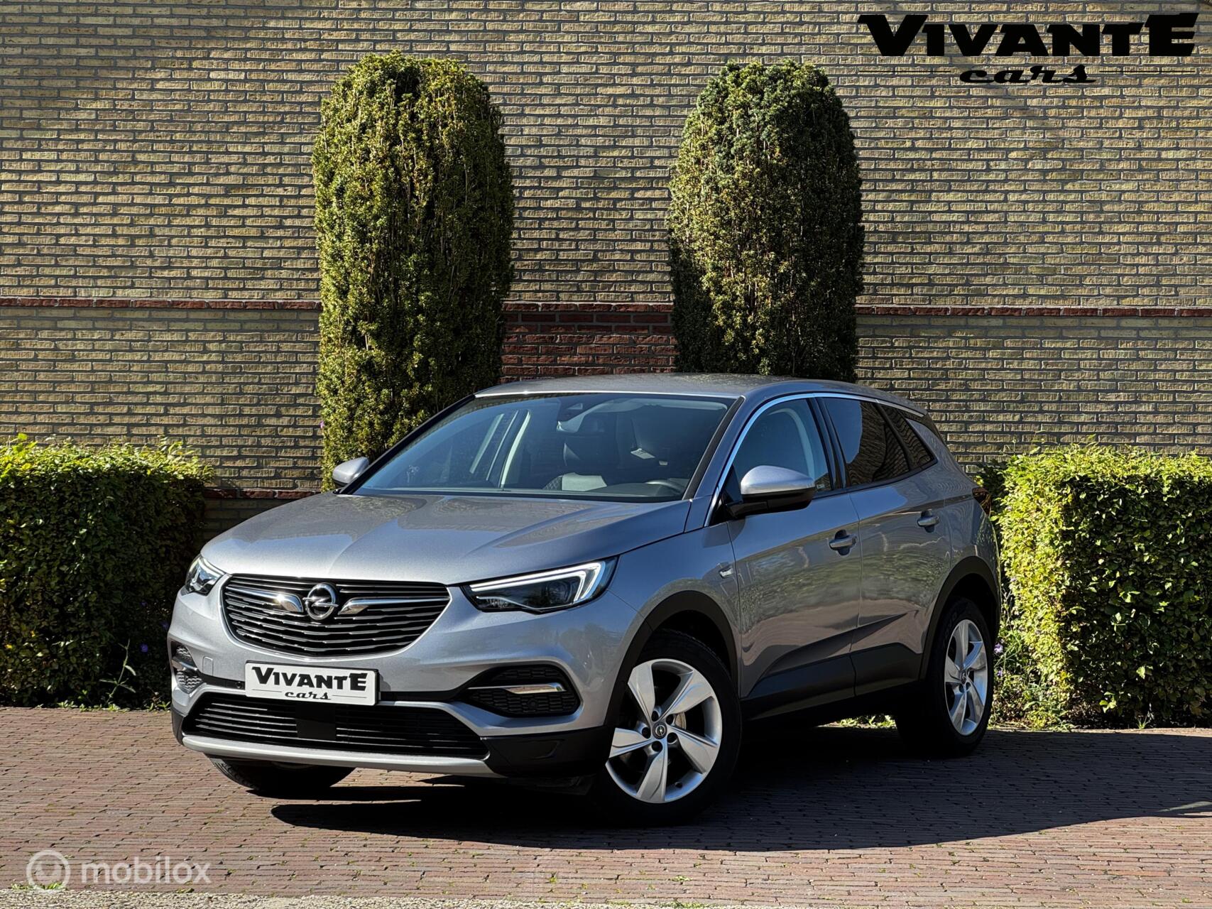 Foto van OPEL GRANDLAND X