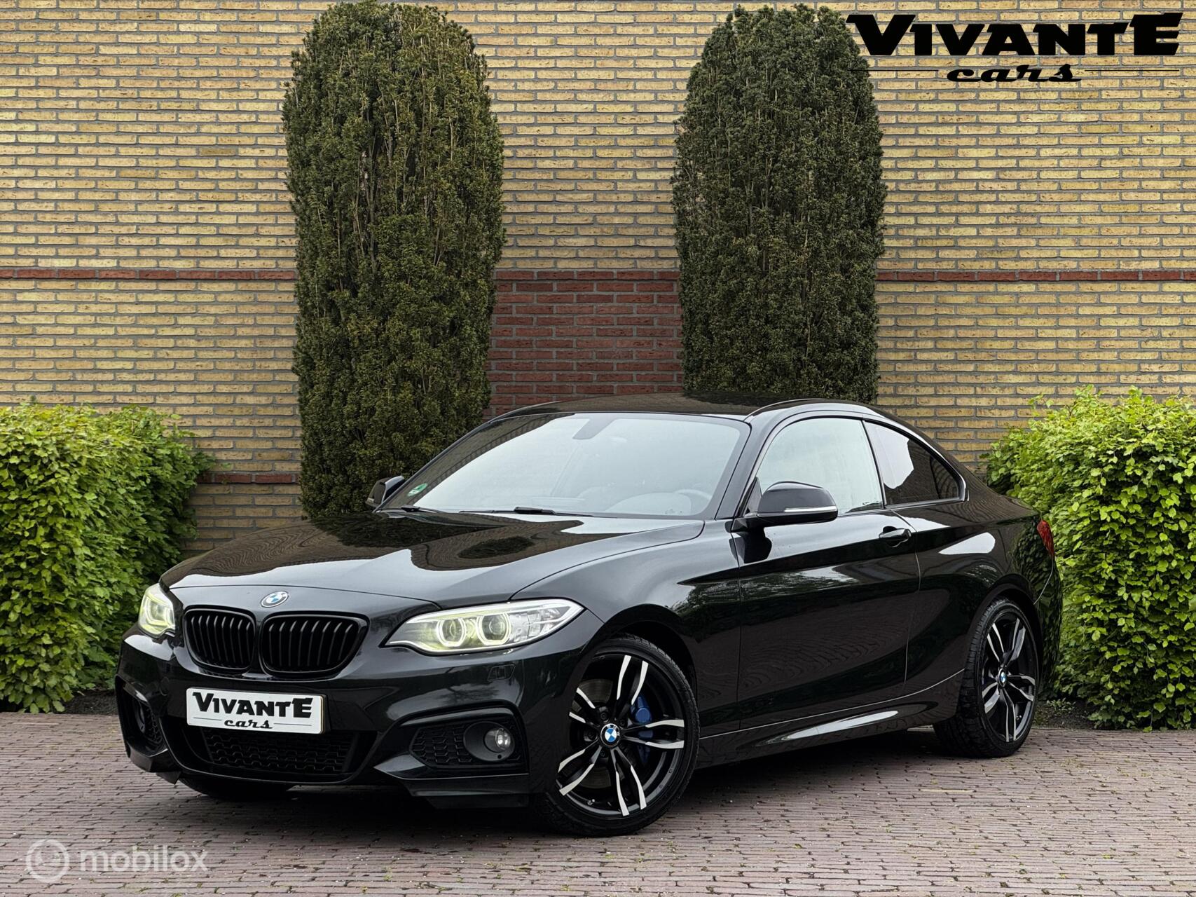 Foto van BMW 220I