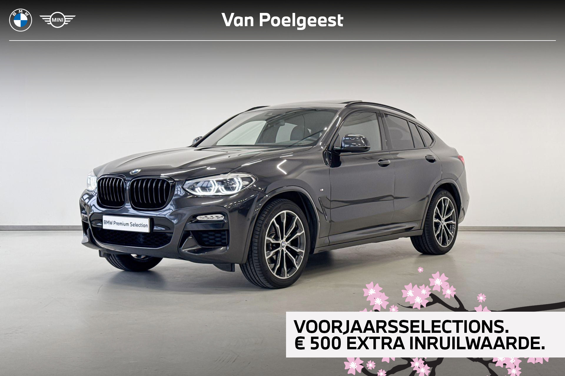 BMW X4 Xdrive20i xDrive20i High Executive 2019 - voorkant