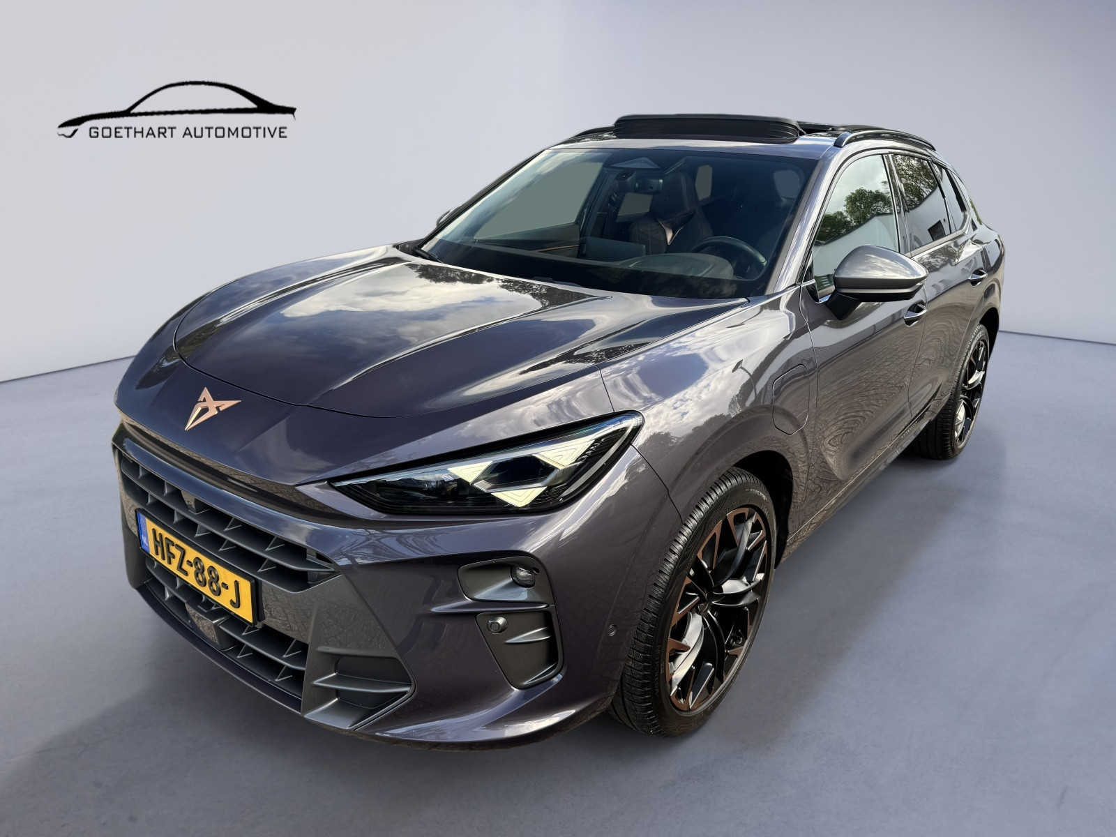 Foto van CUPRA TERRAMAR E-HYBRID