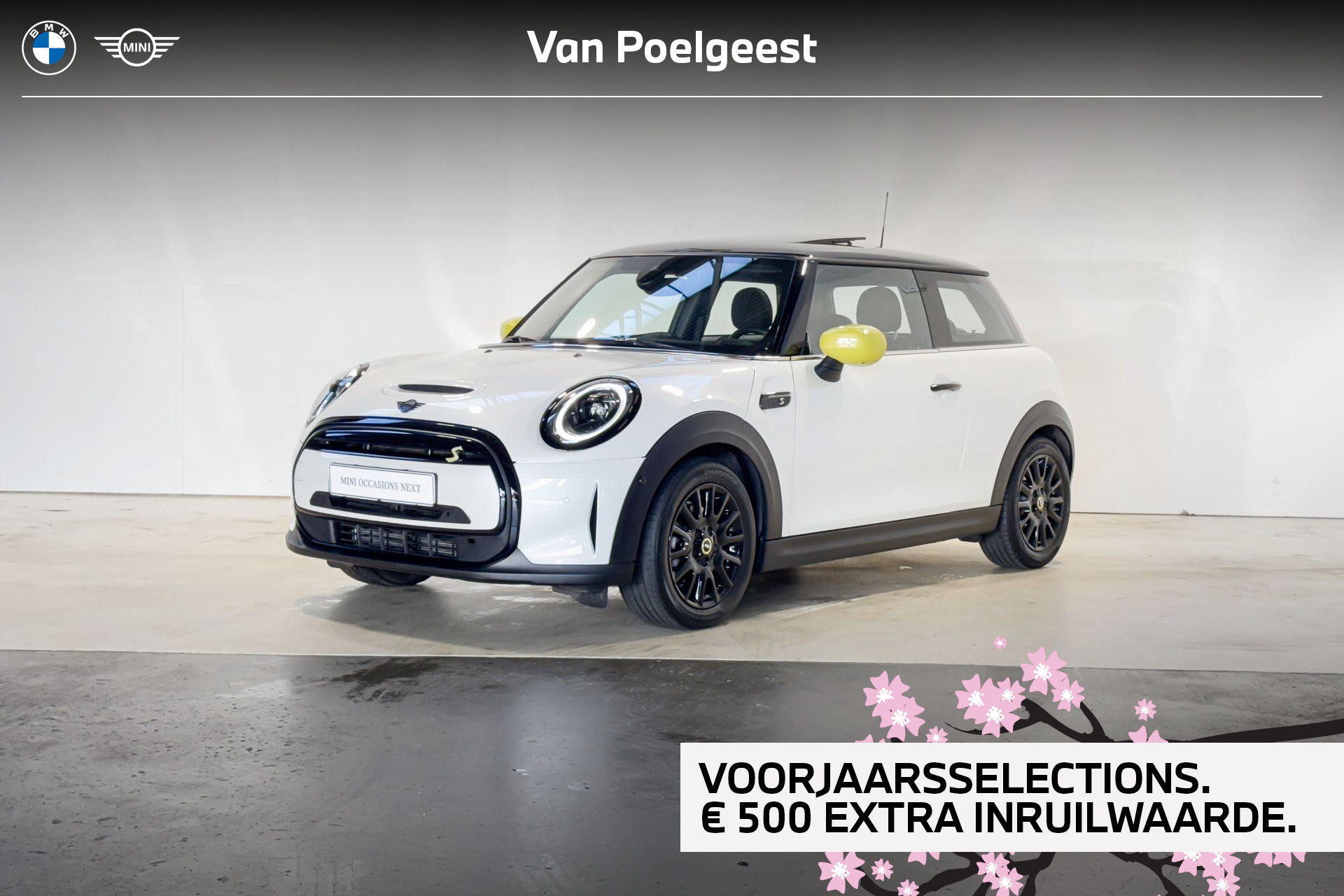 Foto van MINI COOPER SE