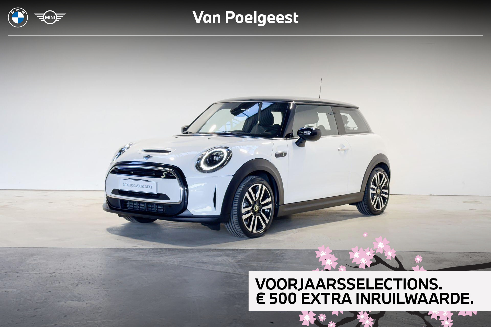 Foto van MINI Electric