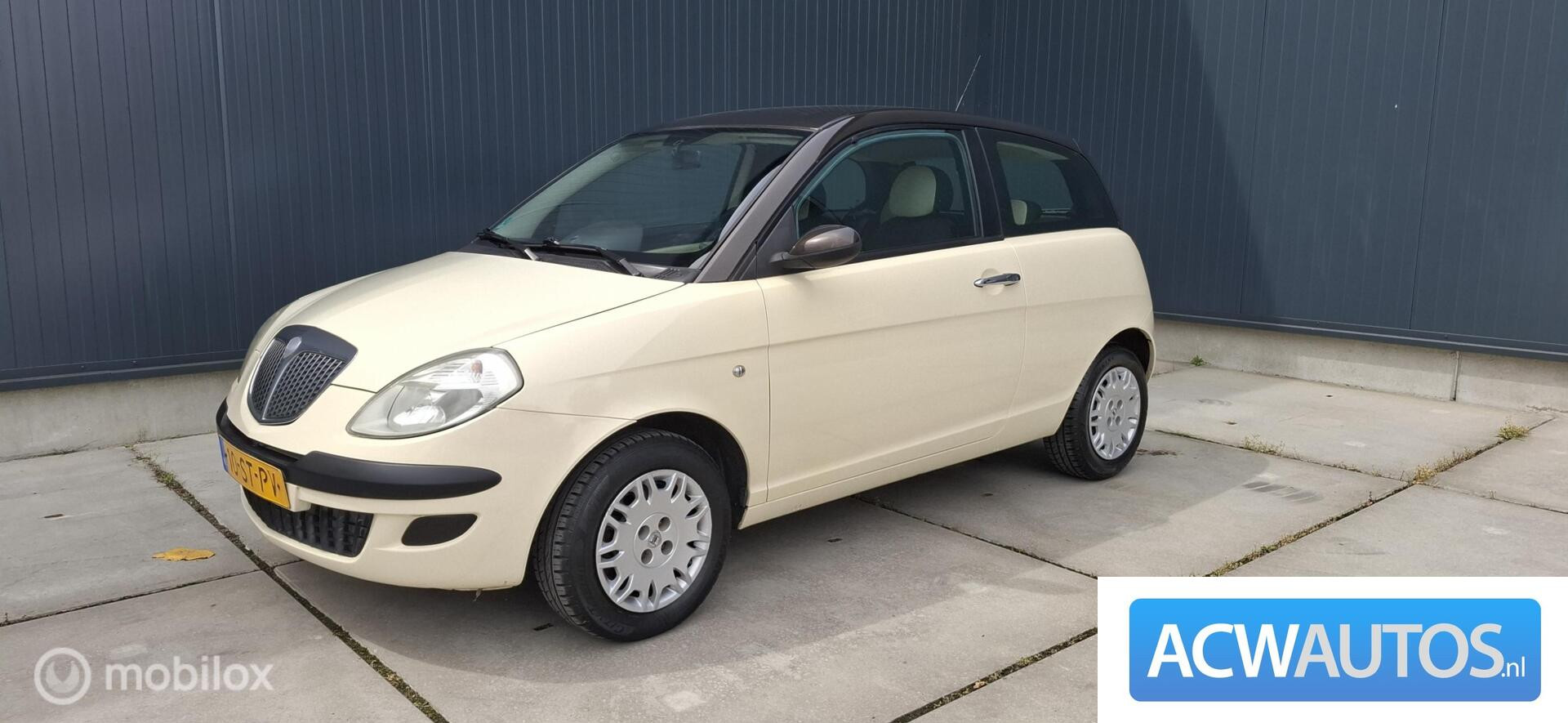 Foto van LANCIA LANCIA YPSILON