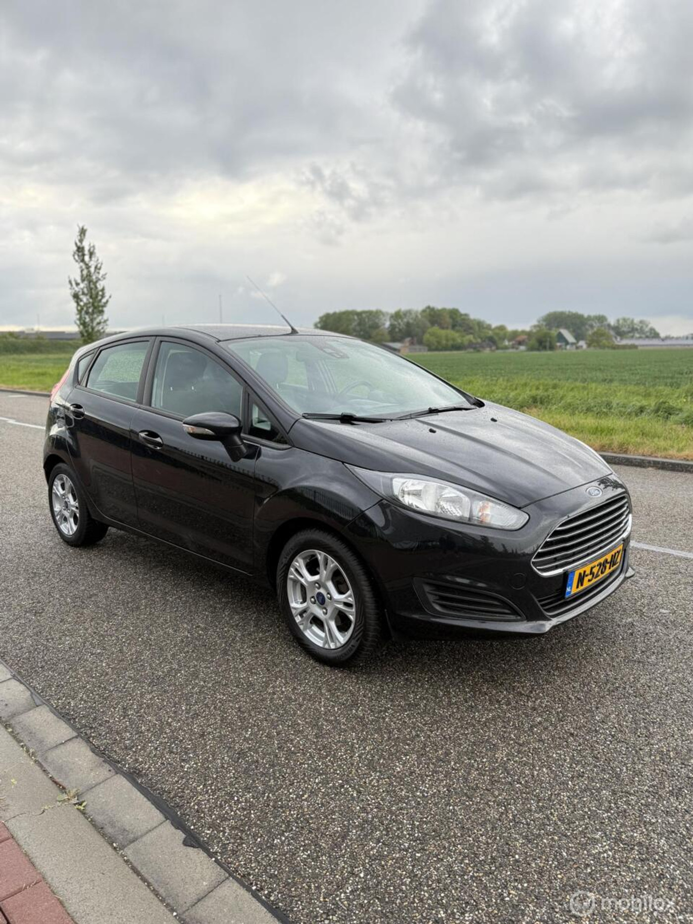 Ford Fiesta 1.0 EcoBoost Titanium 2013 - voorkant