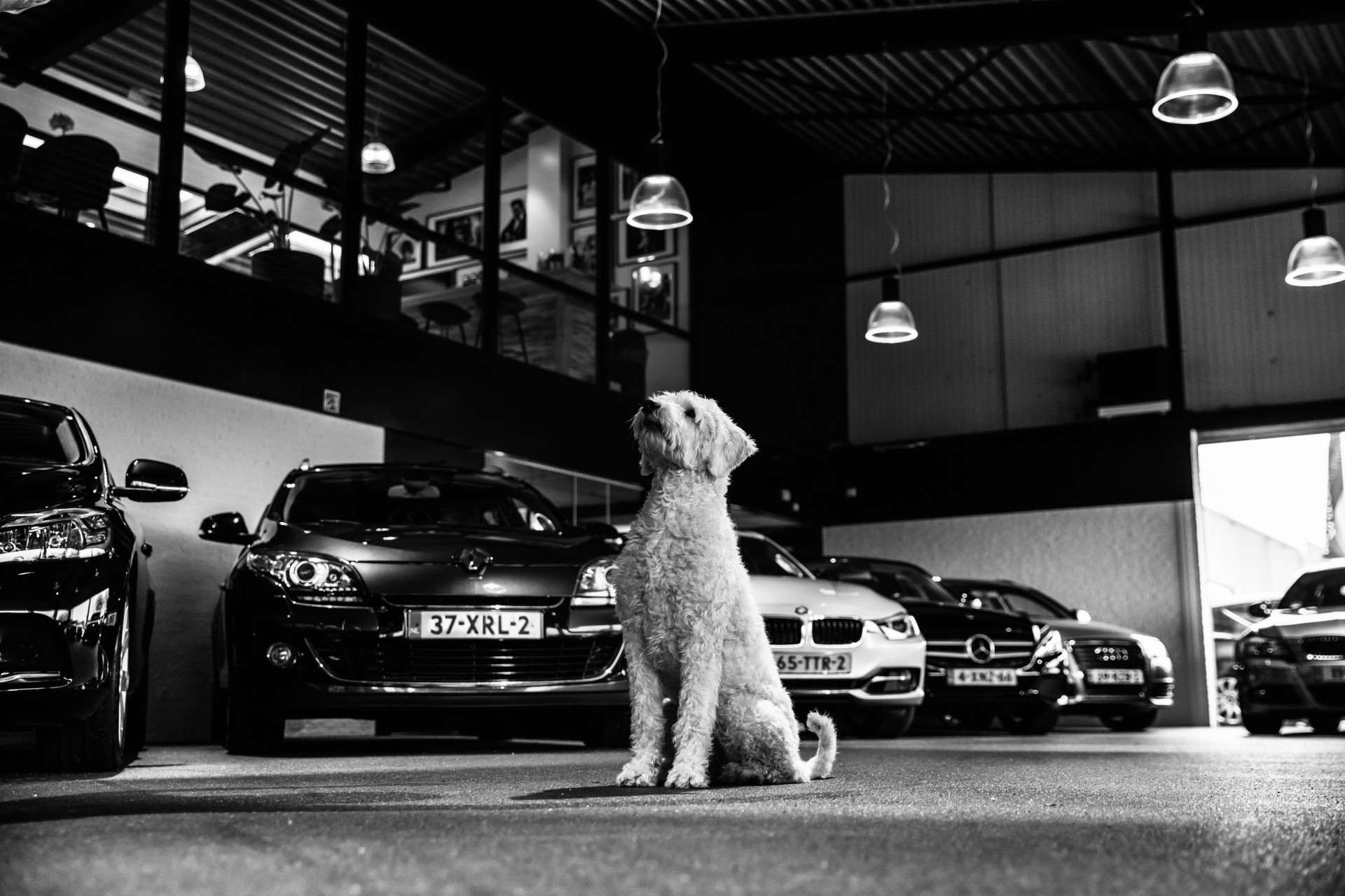 Foto van Renault Megane
