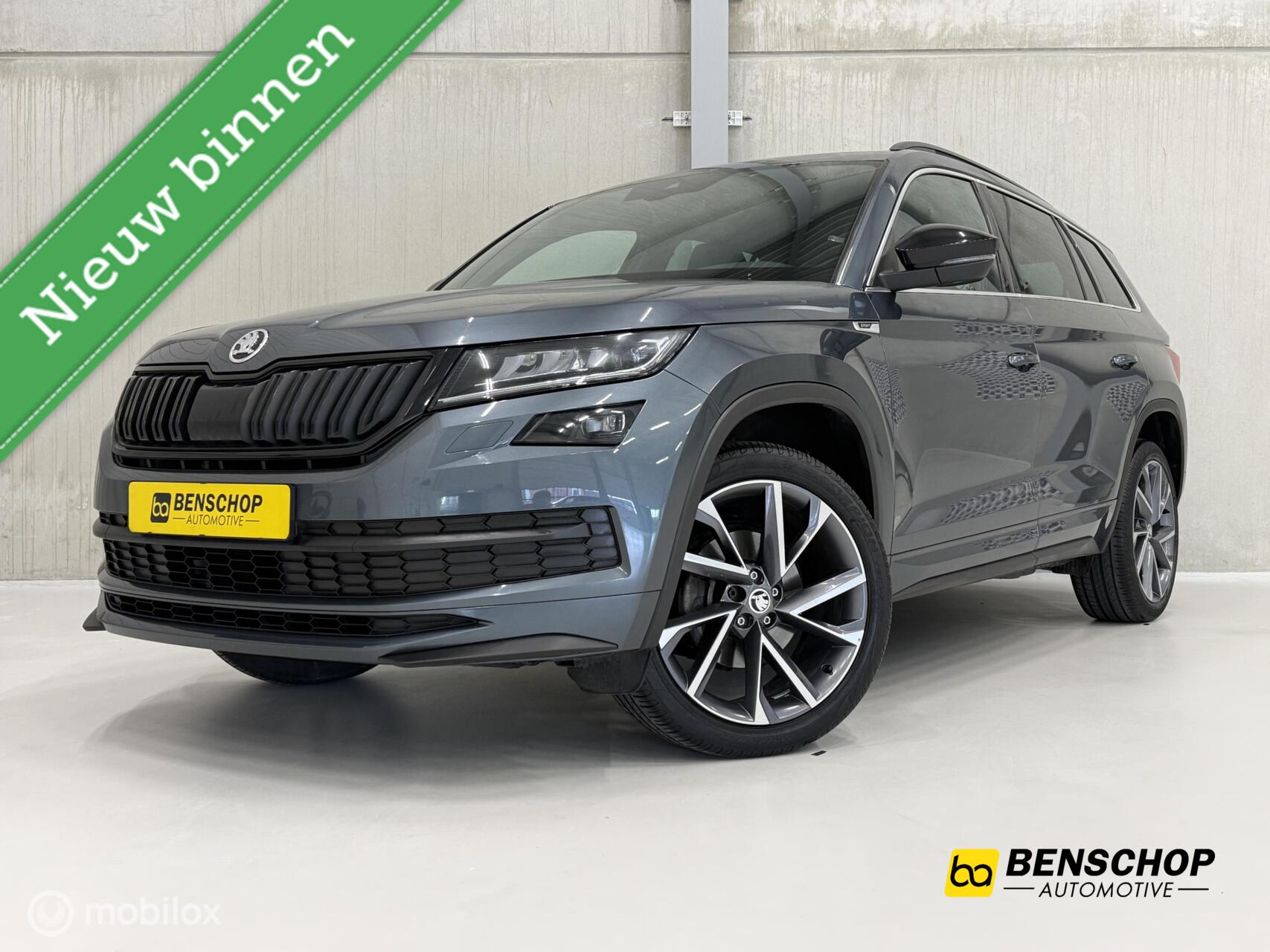 Foto van SKODA KODIAQ