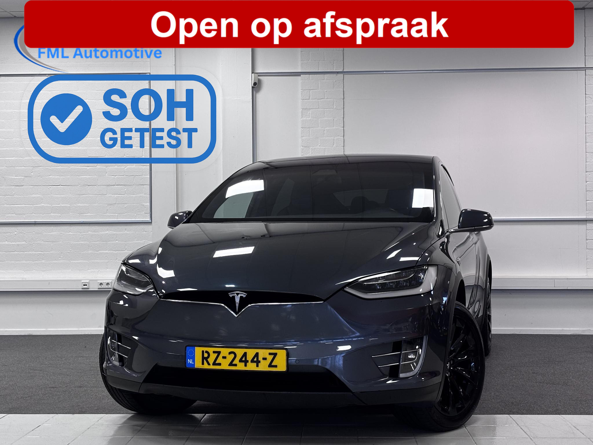 Foto van Tesla Model X