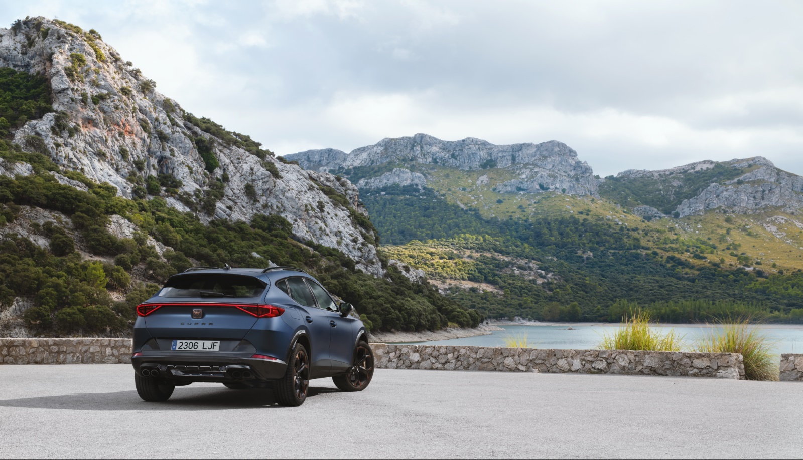Foto van Cupra Formentor
