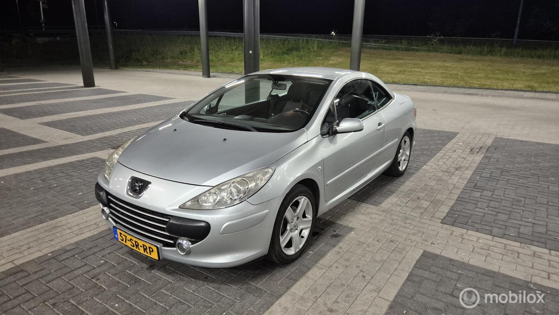 Foto van PEUGEOT 307