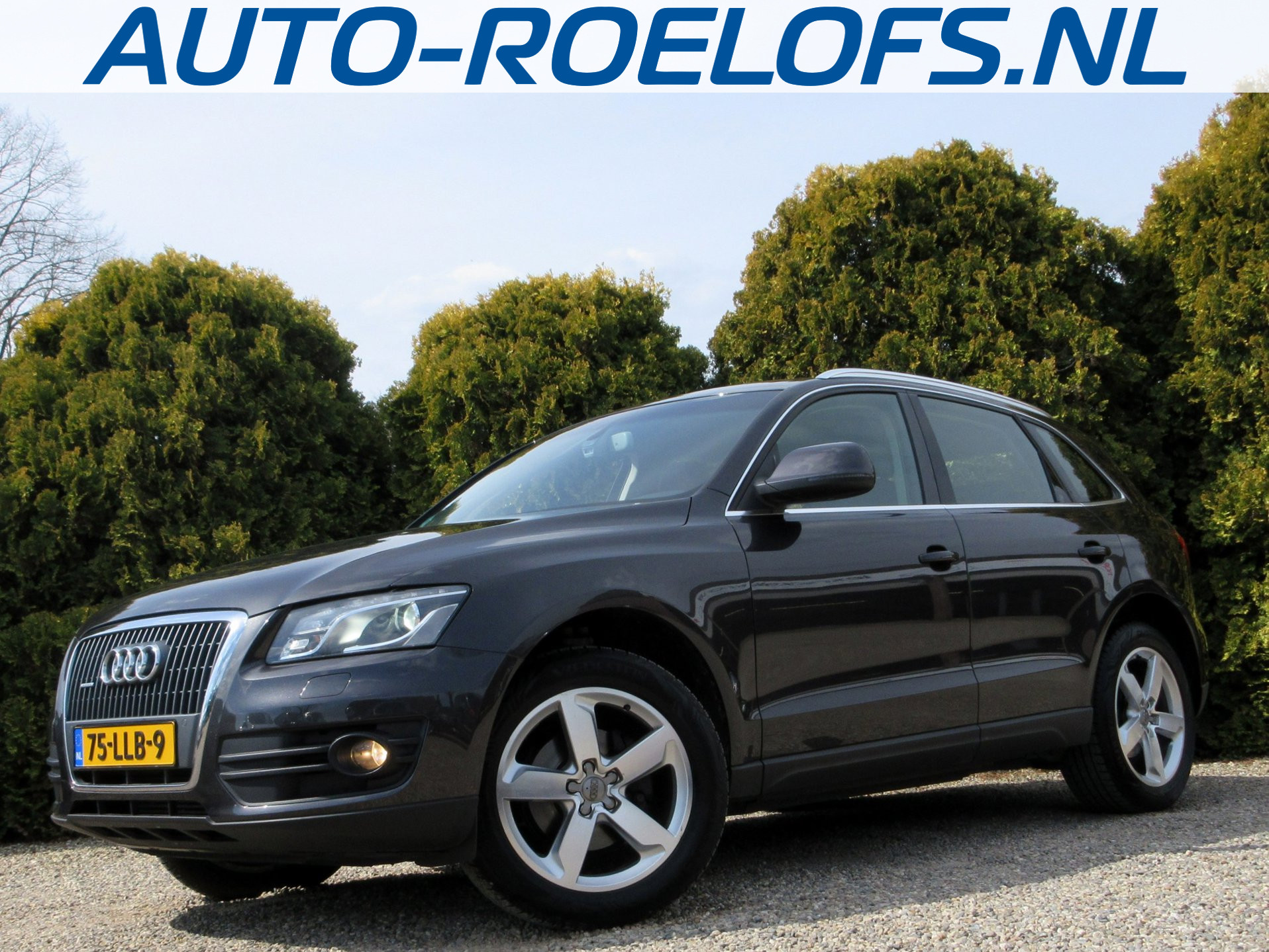 Audi Audi Q5 2.0 TFSI quattro Pro Line *Trekhaak*Navi* 2009 - voorkant