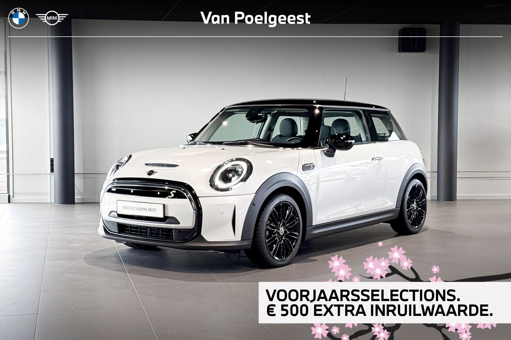 Foto van MINI COOPER SE