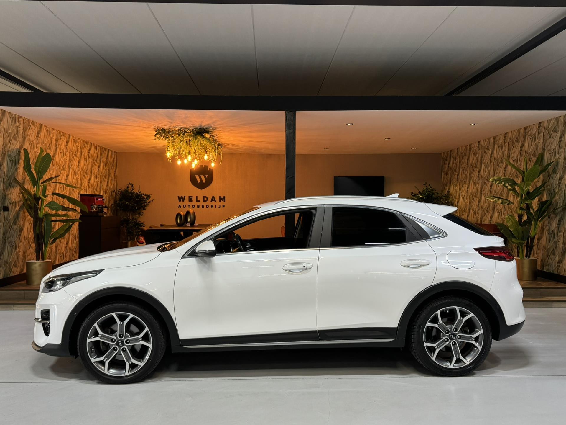 Foto van Kia Xceed