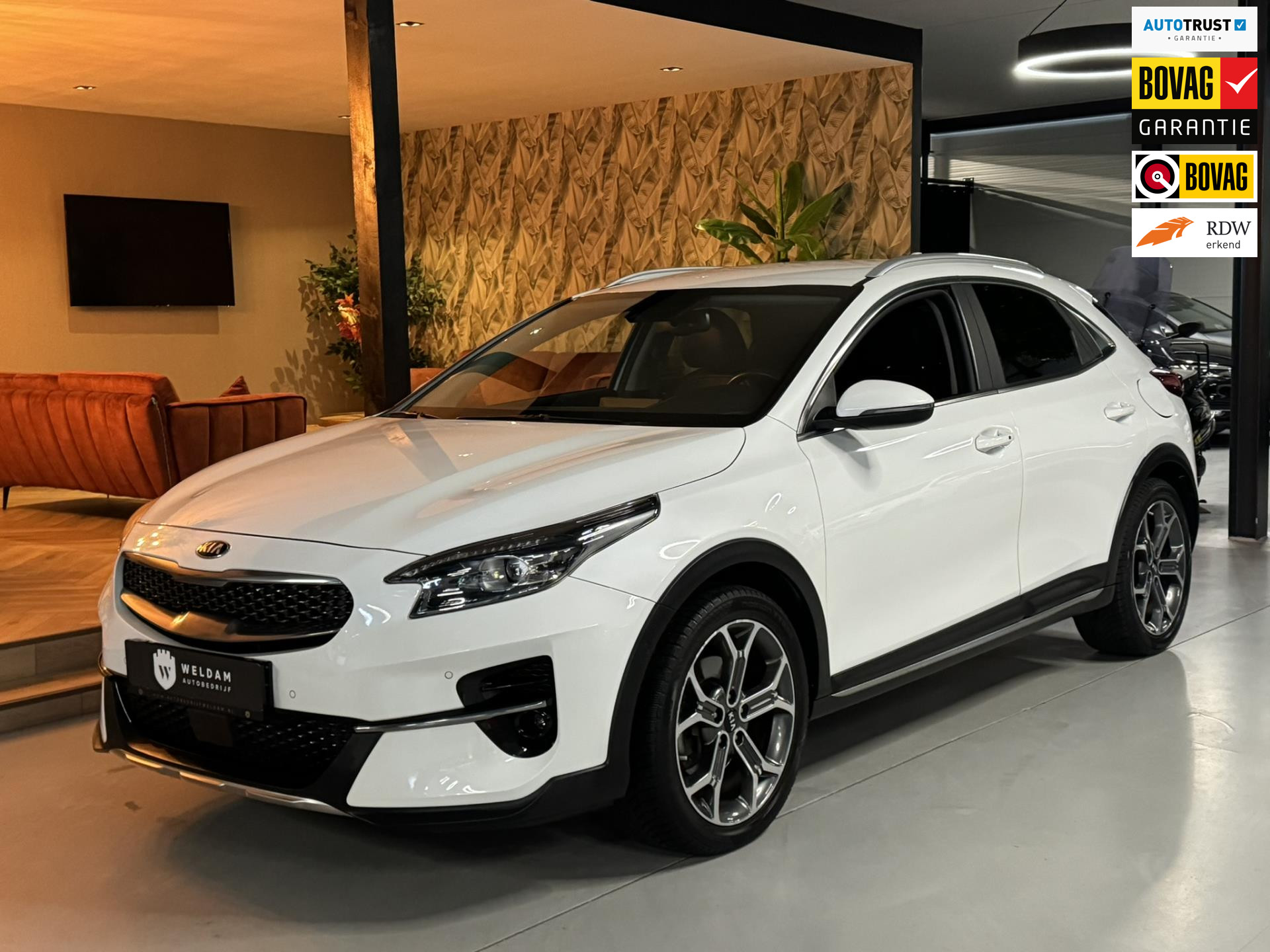 Foto van Kia Xceed