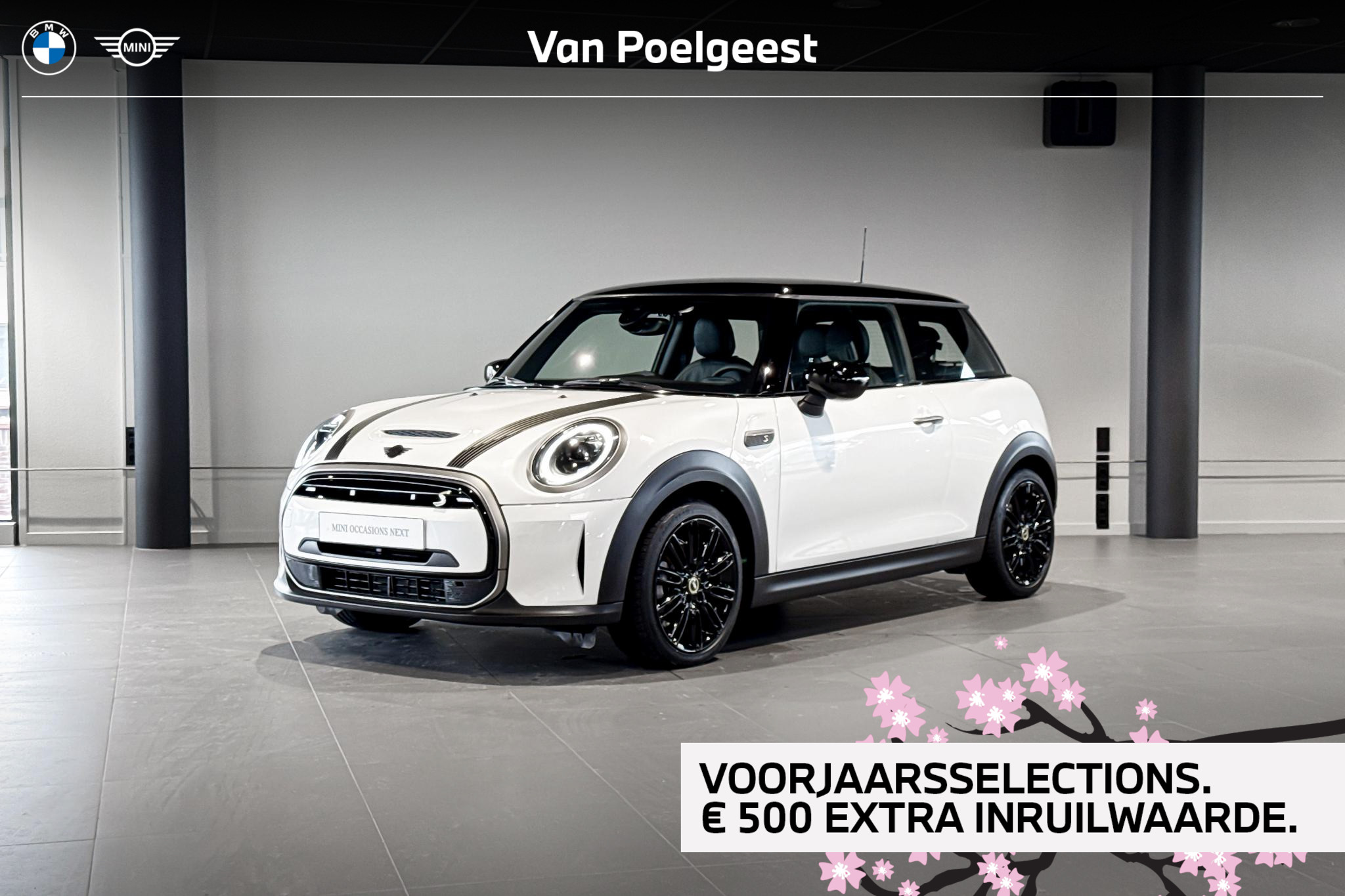 Foto van MINI COOPER SE