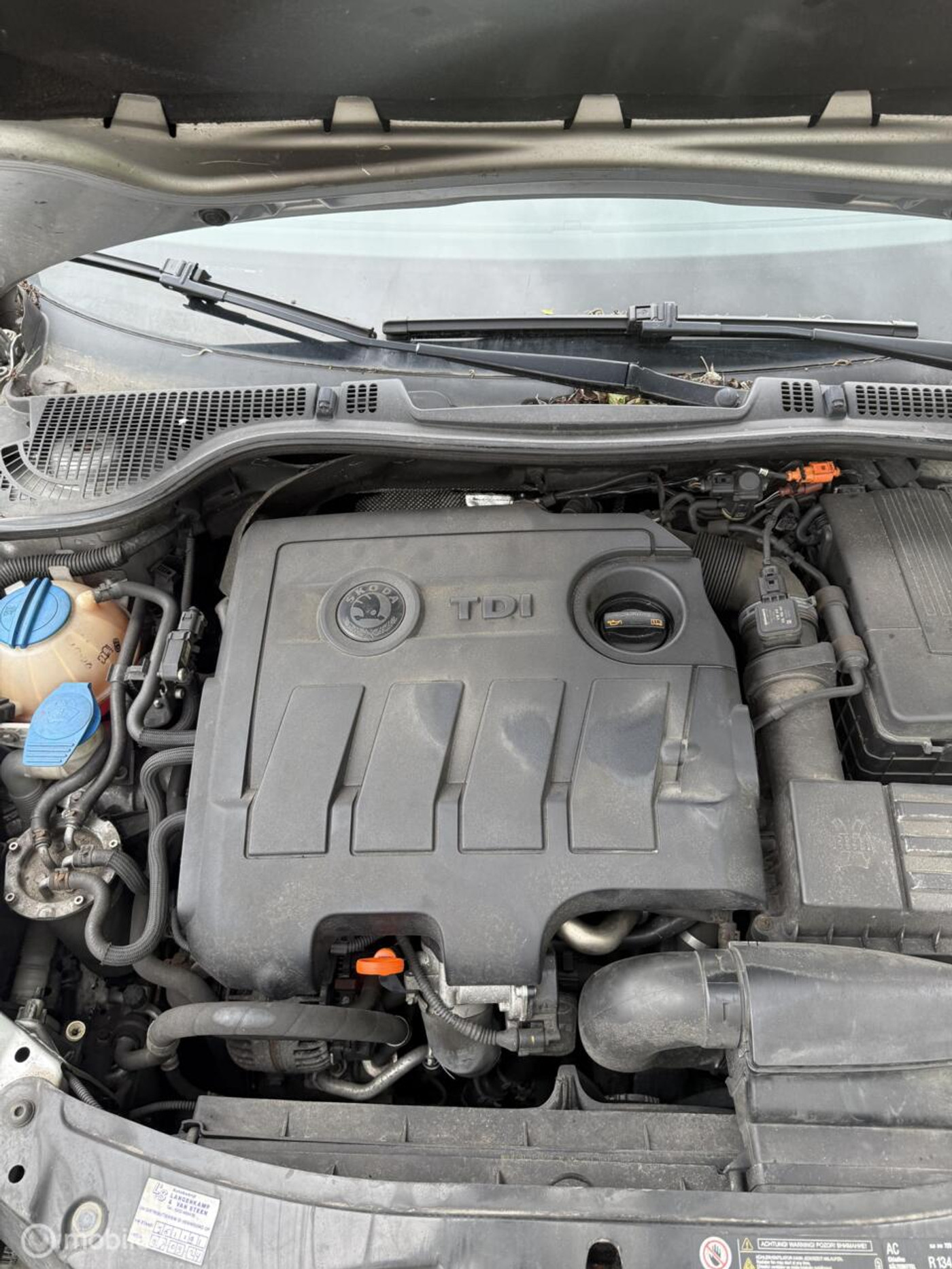 Foto van Skoda Octavia