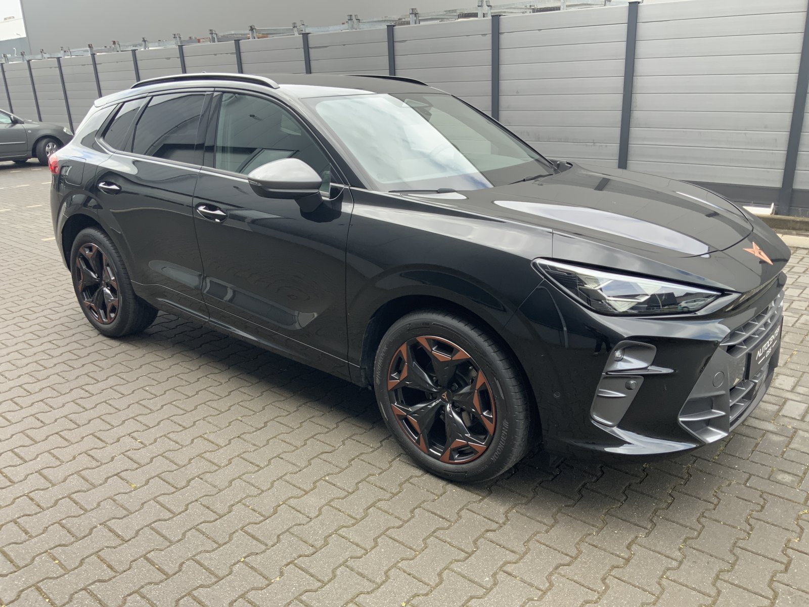 Inspectiefoto van Cupra Terramar