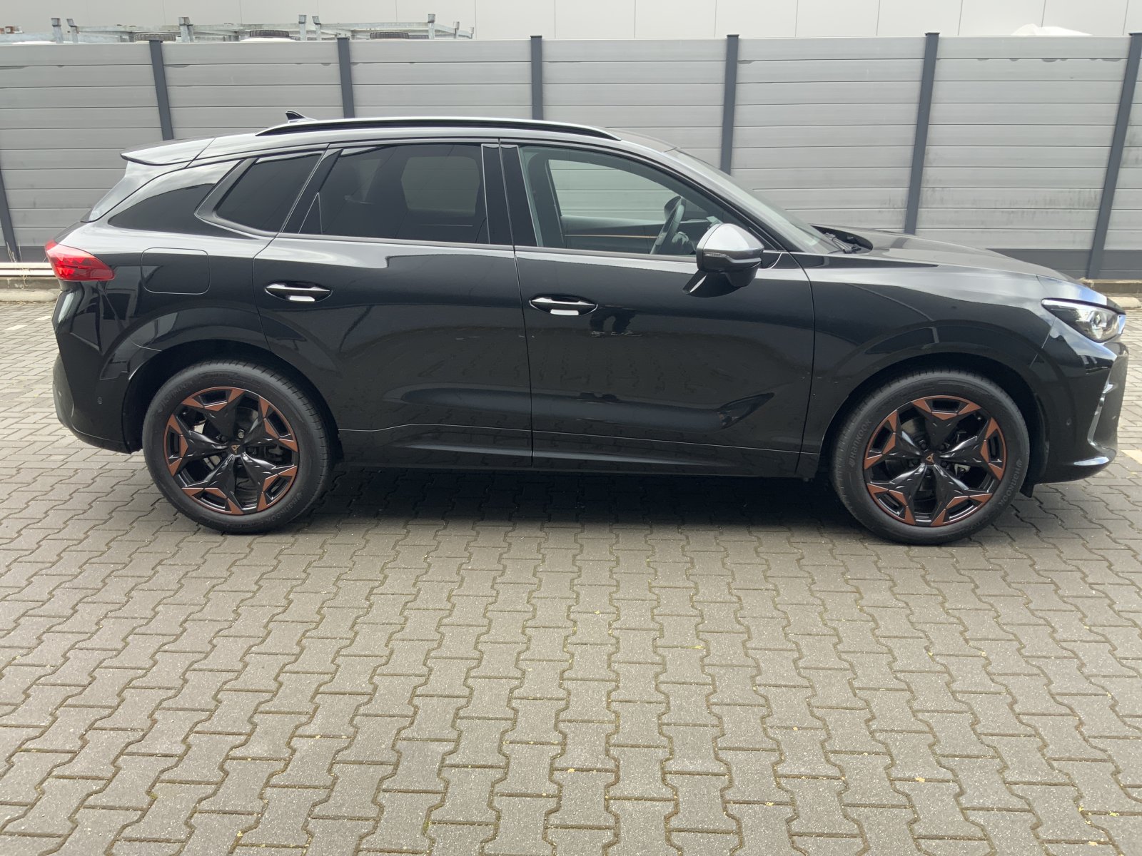 Inspectiefoto van Cupra Terramar