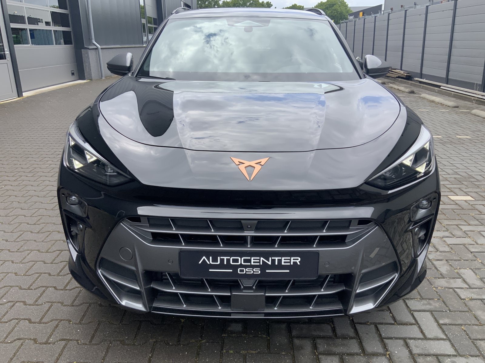 Inspectiefoto van Cupra Terramar