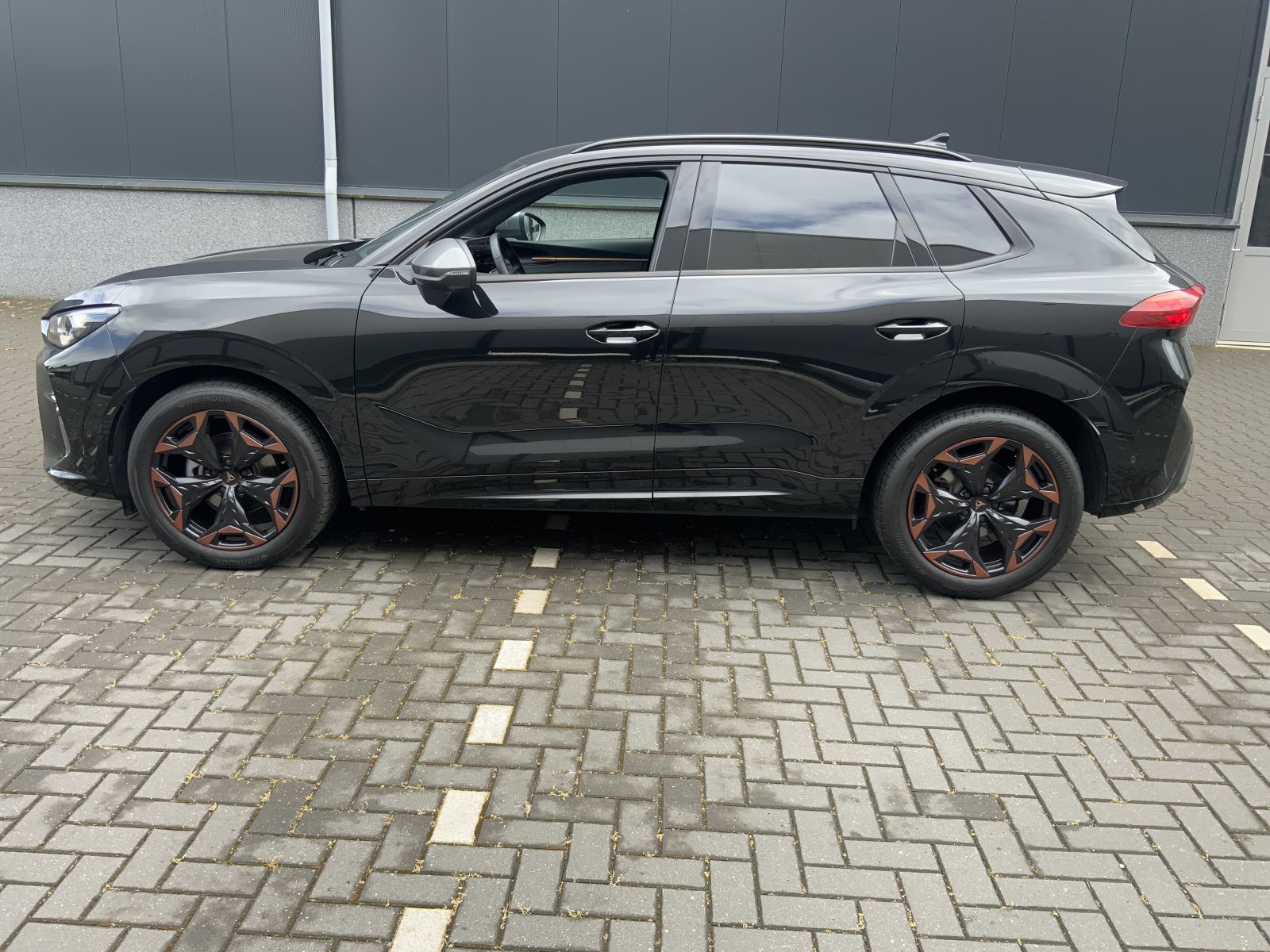 Inspectiefoto van Cupra Terramar