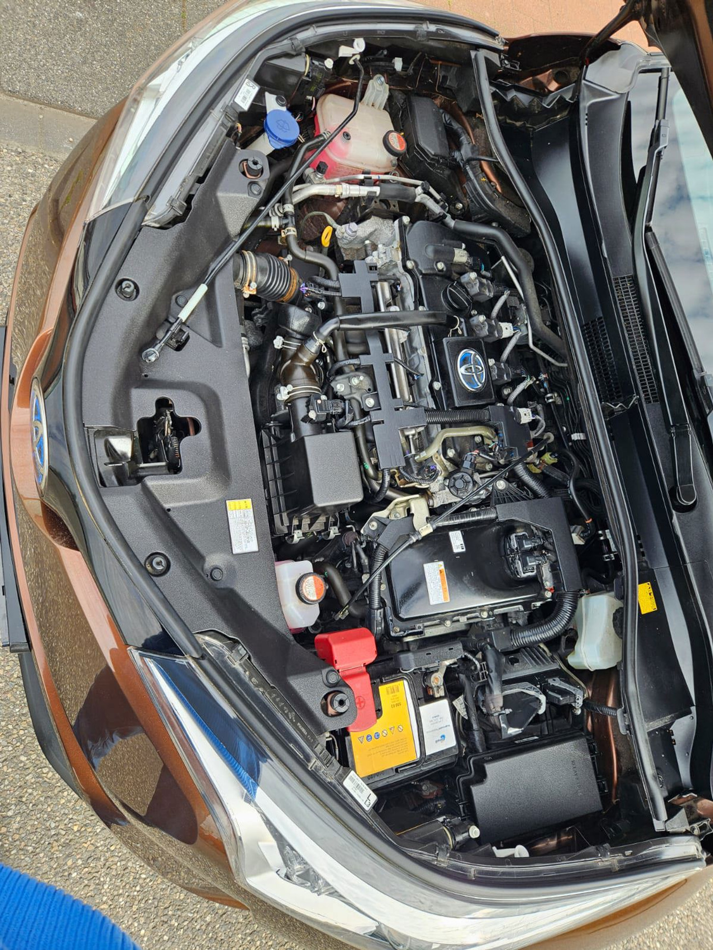 Foto van Toyota Toyota C-hr