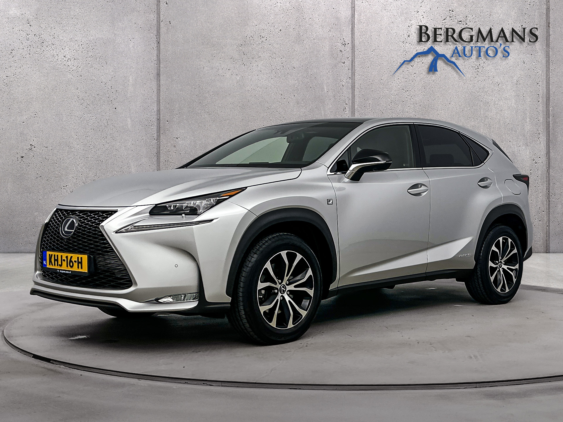 Foto van LEXUS LEXUS NX300H
