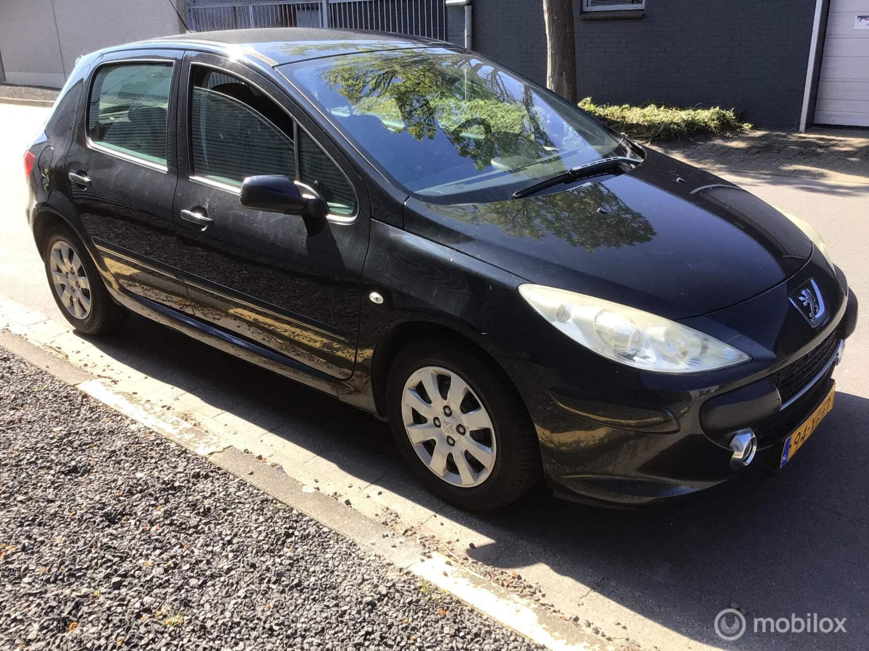 Foto van PEUGEOT 307