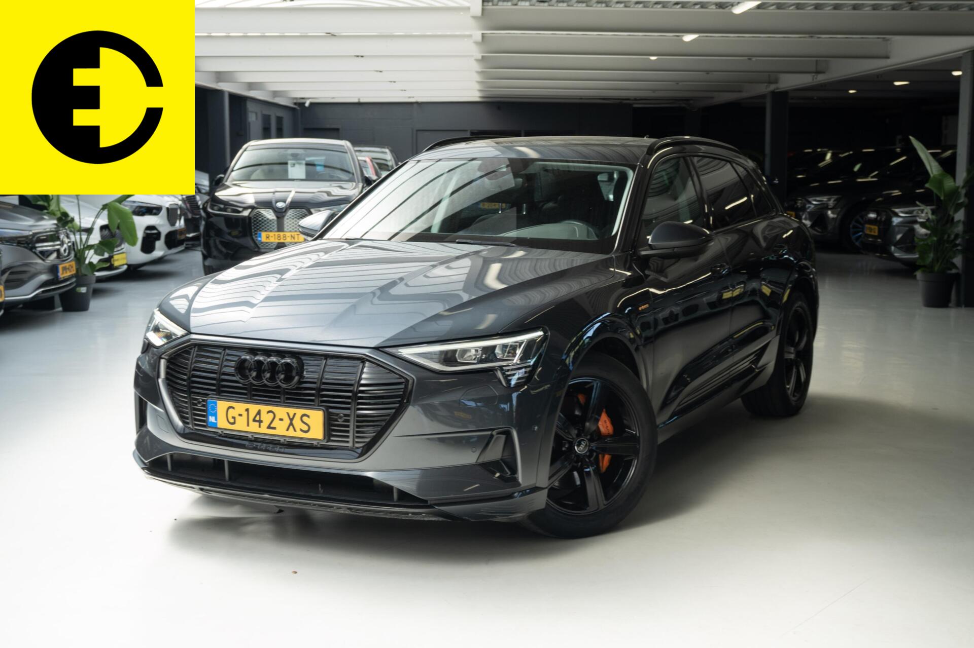 Foto van AUDI E-TRON 50