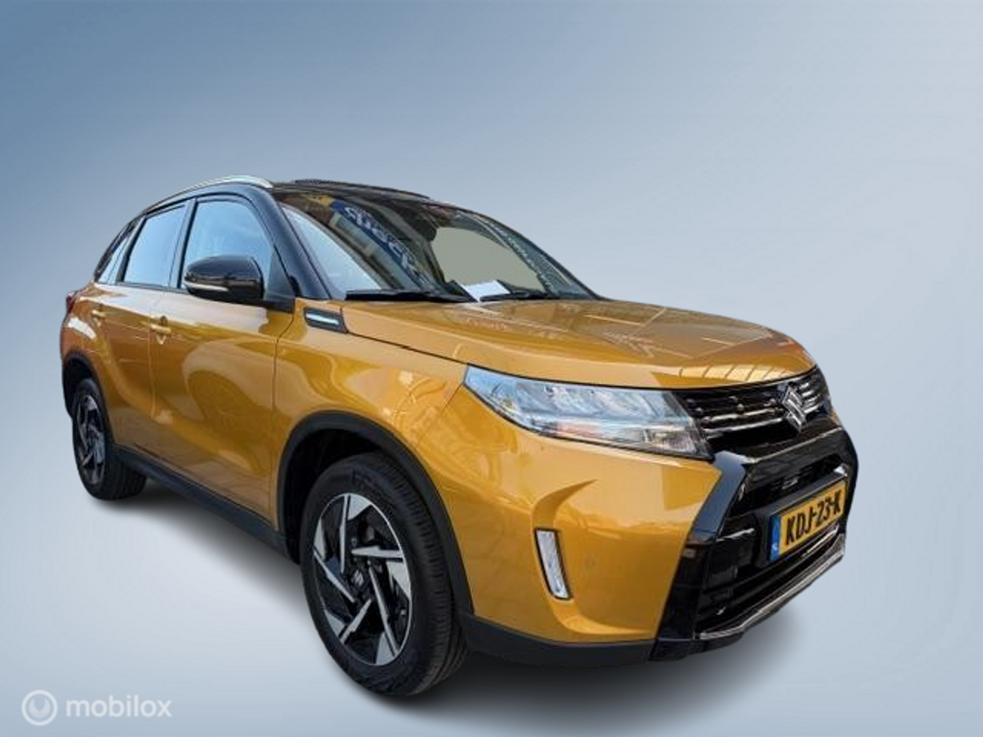 Foto van SUZUKI VITARA