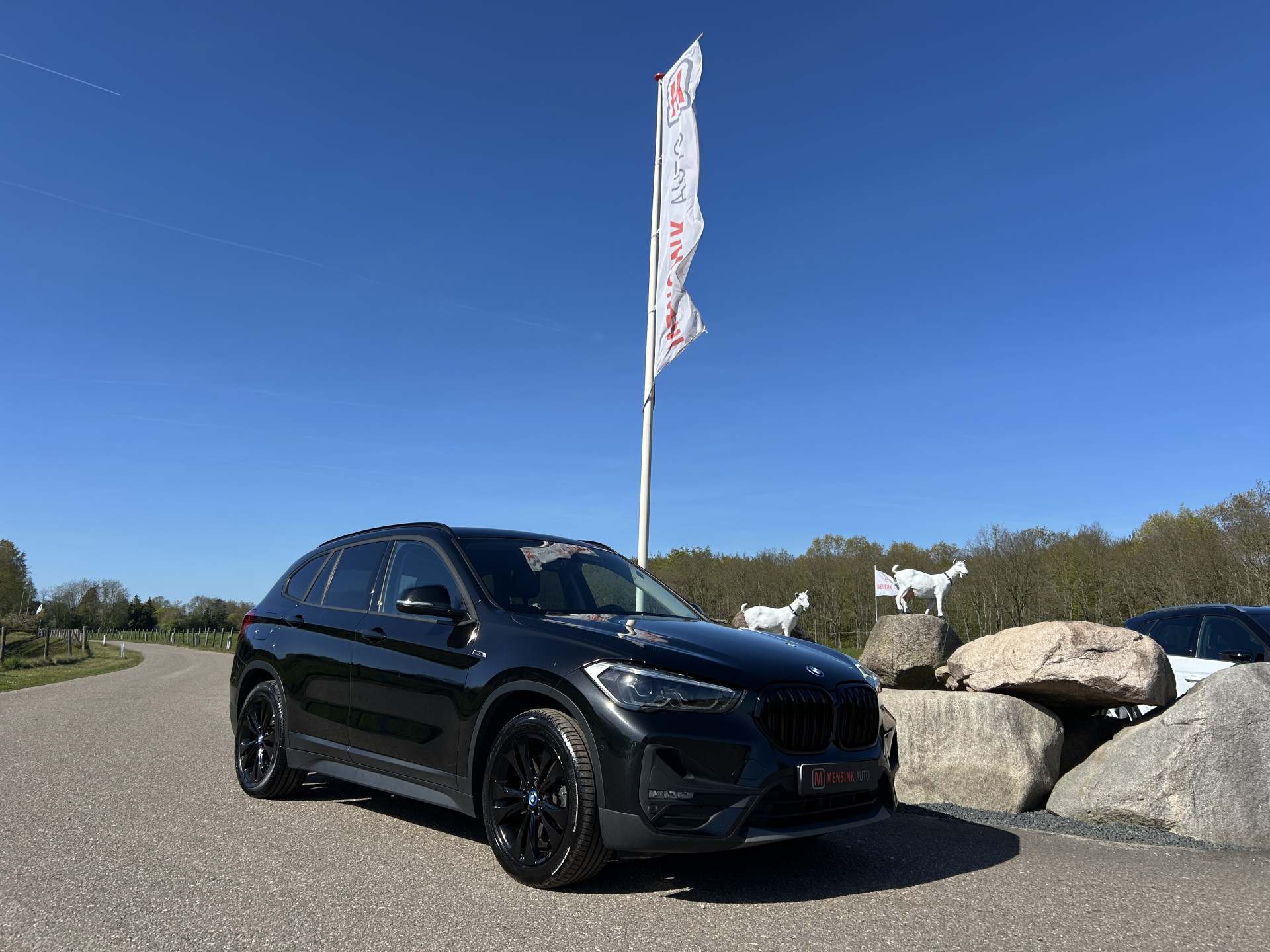 Foto van BMW X1 Xdrive25e