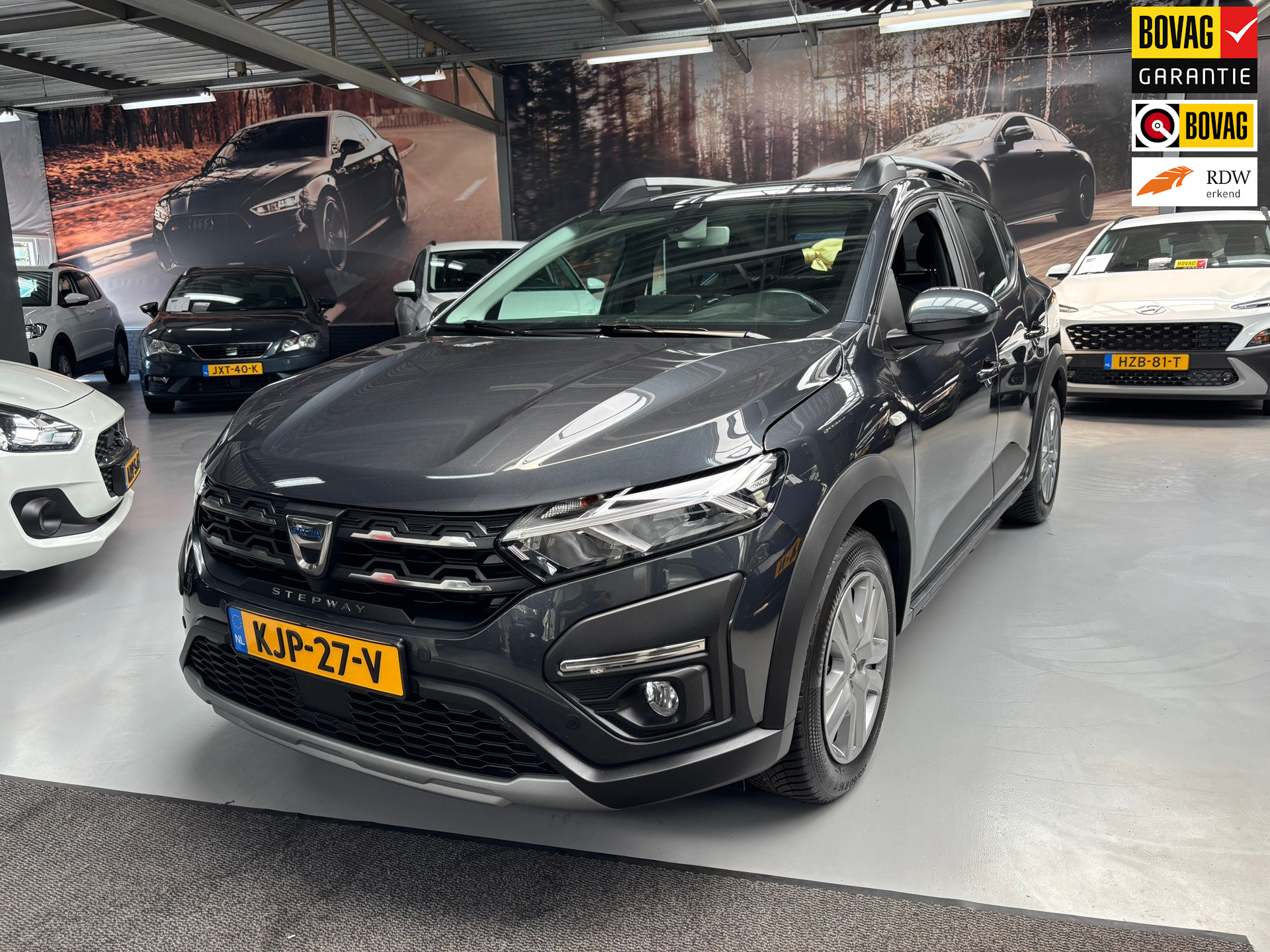 Foto van Dacia Sandero Stepway