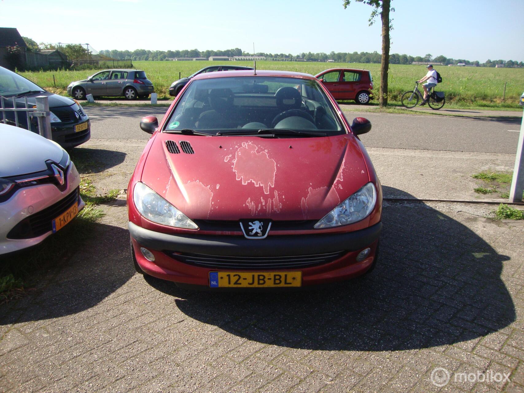Foto van PEUGEOT 206