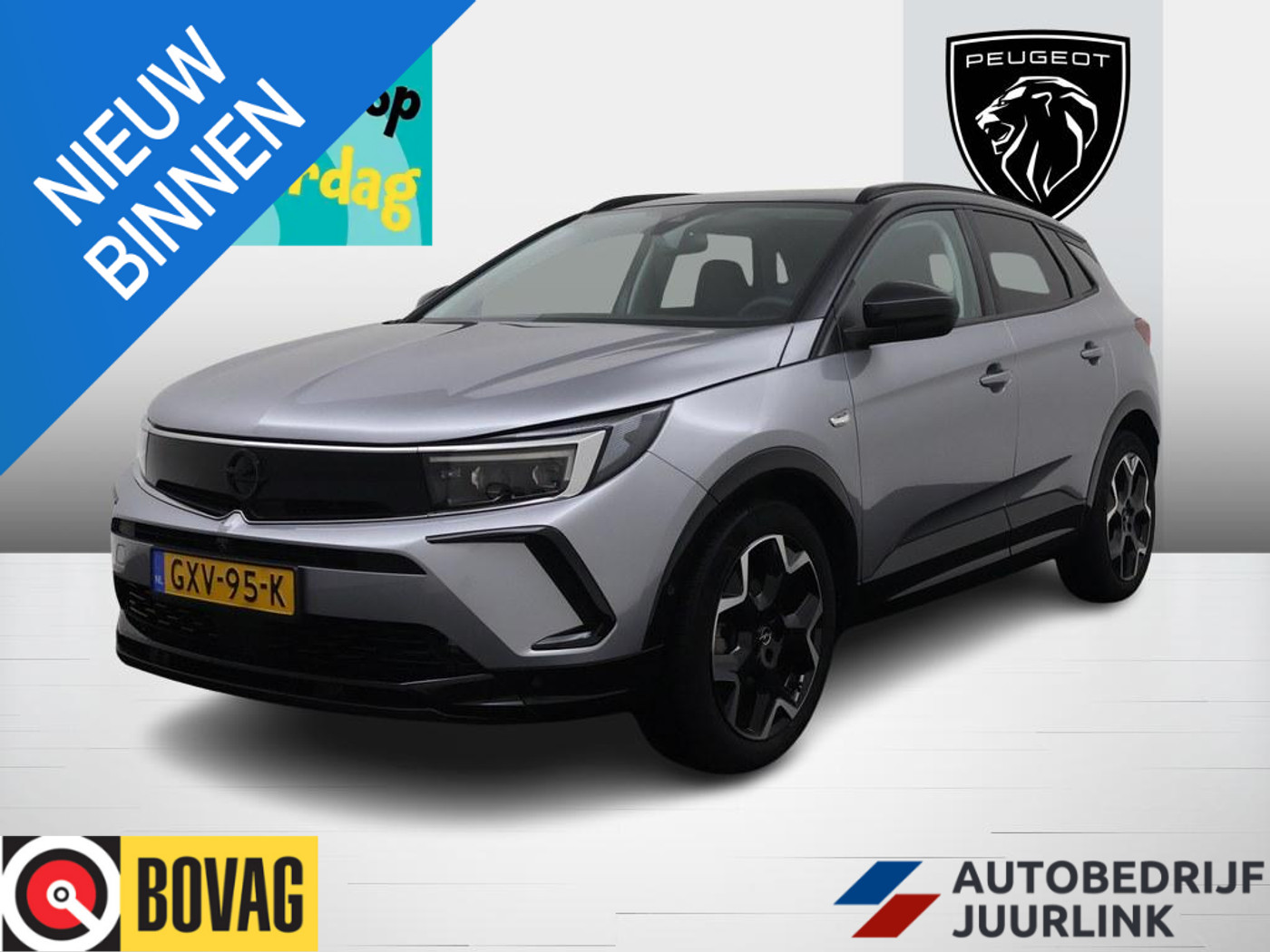 Foto van OPEL GRANDLAND