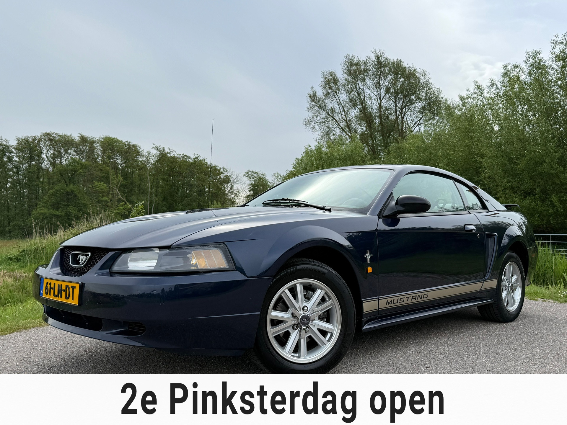 Foto van FORD MUSTANG