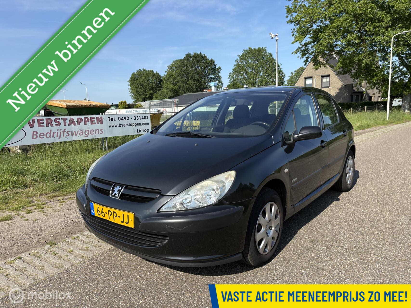 Foto van PEUGEOT 307