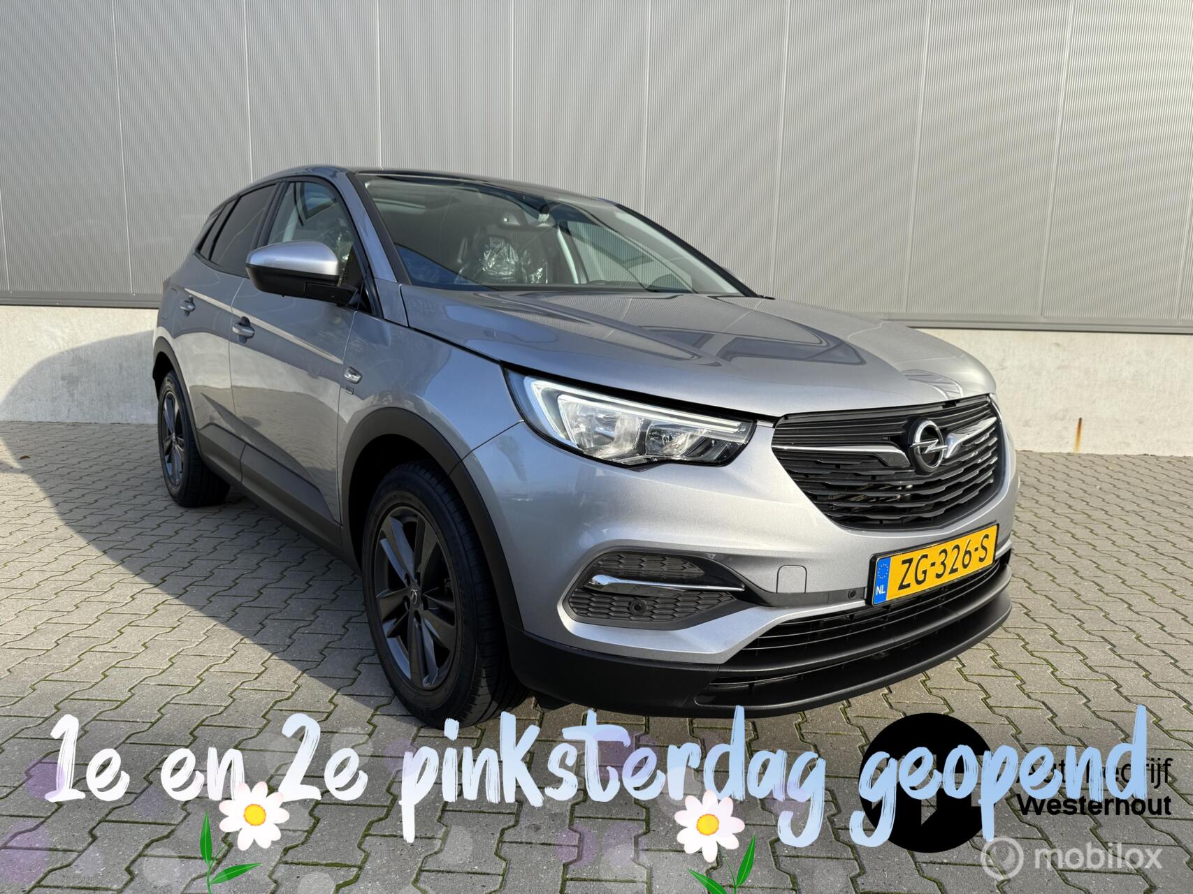 Foto van OPEL GRANDLAND X