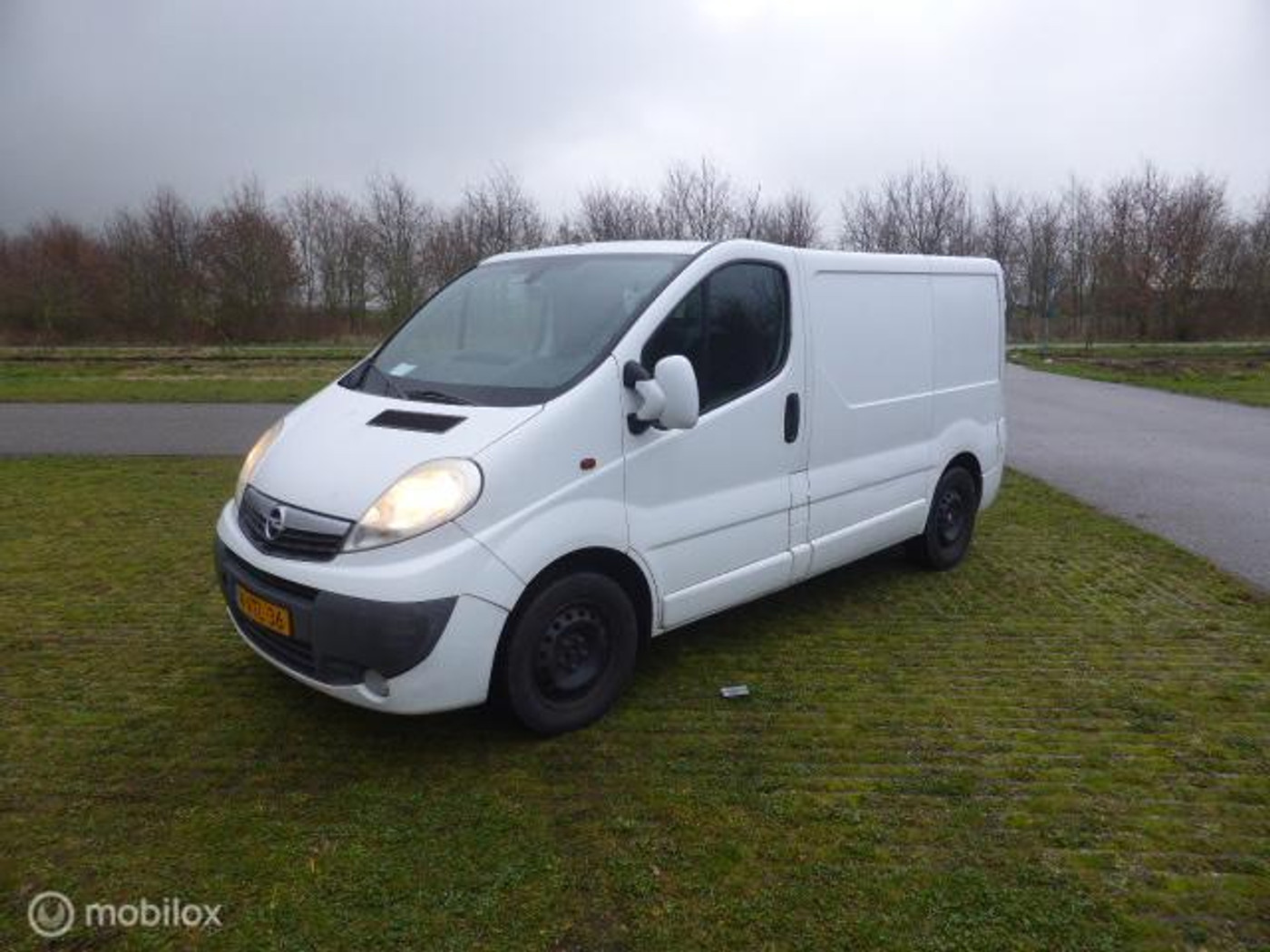 Opel Vivaro 2.5 CDTI L1H1 2012 - voorkant